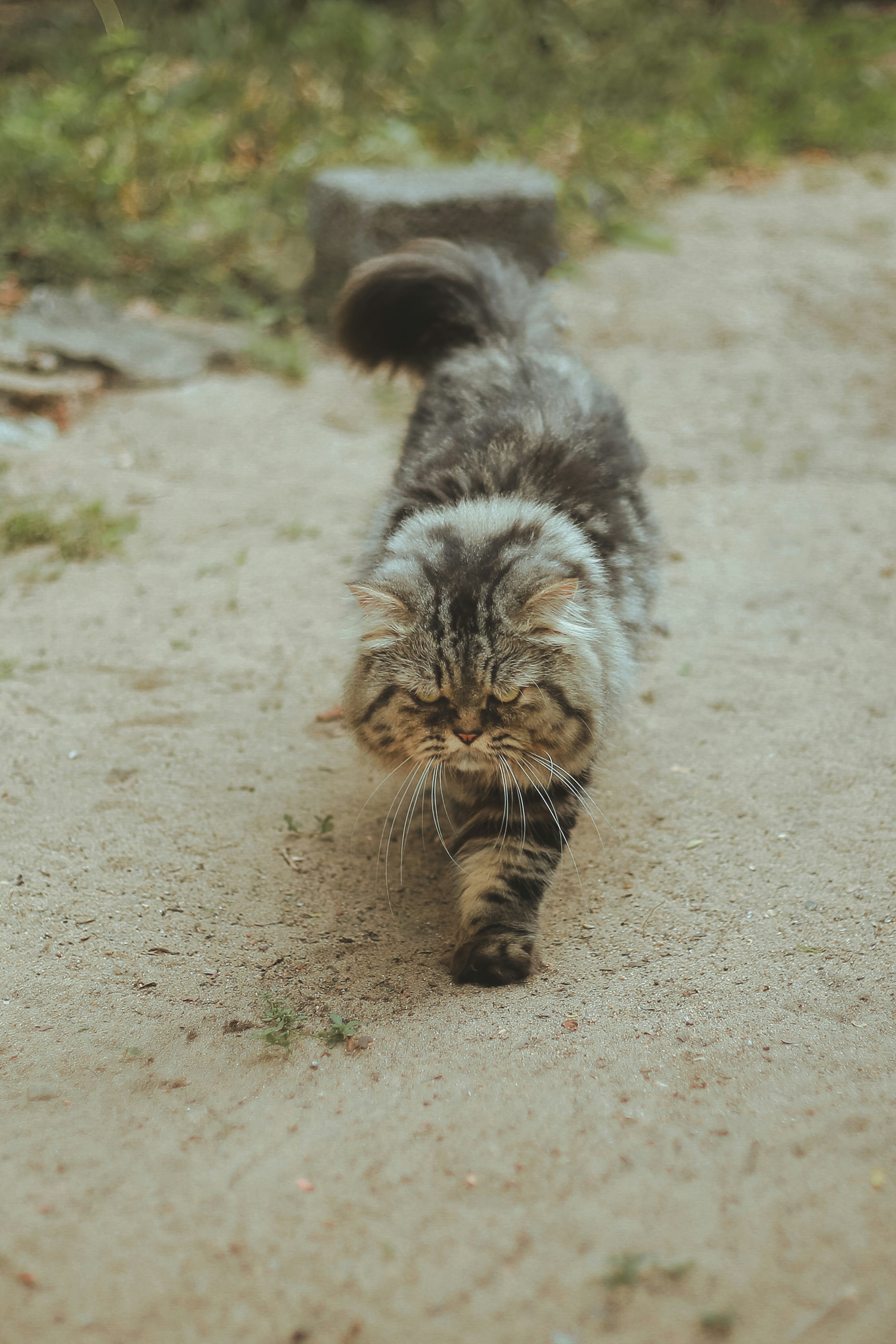 Photo by jithujith123