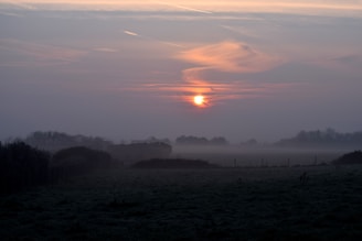 A serene early morning landscape with soft sand dunes under a sky mist blue dawn.