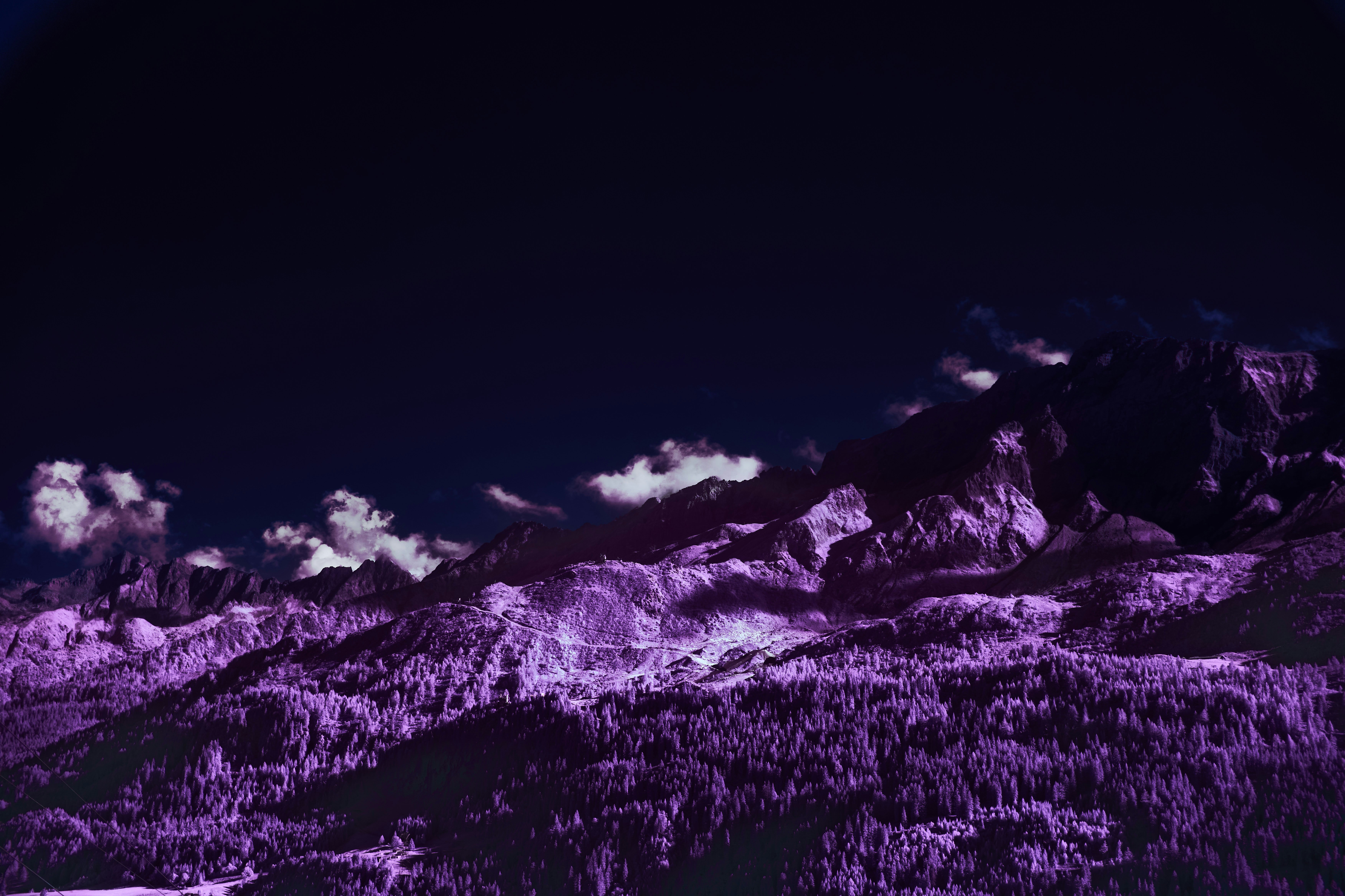 Photo by wolfgang_hasselmann