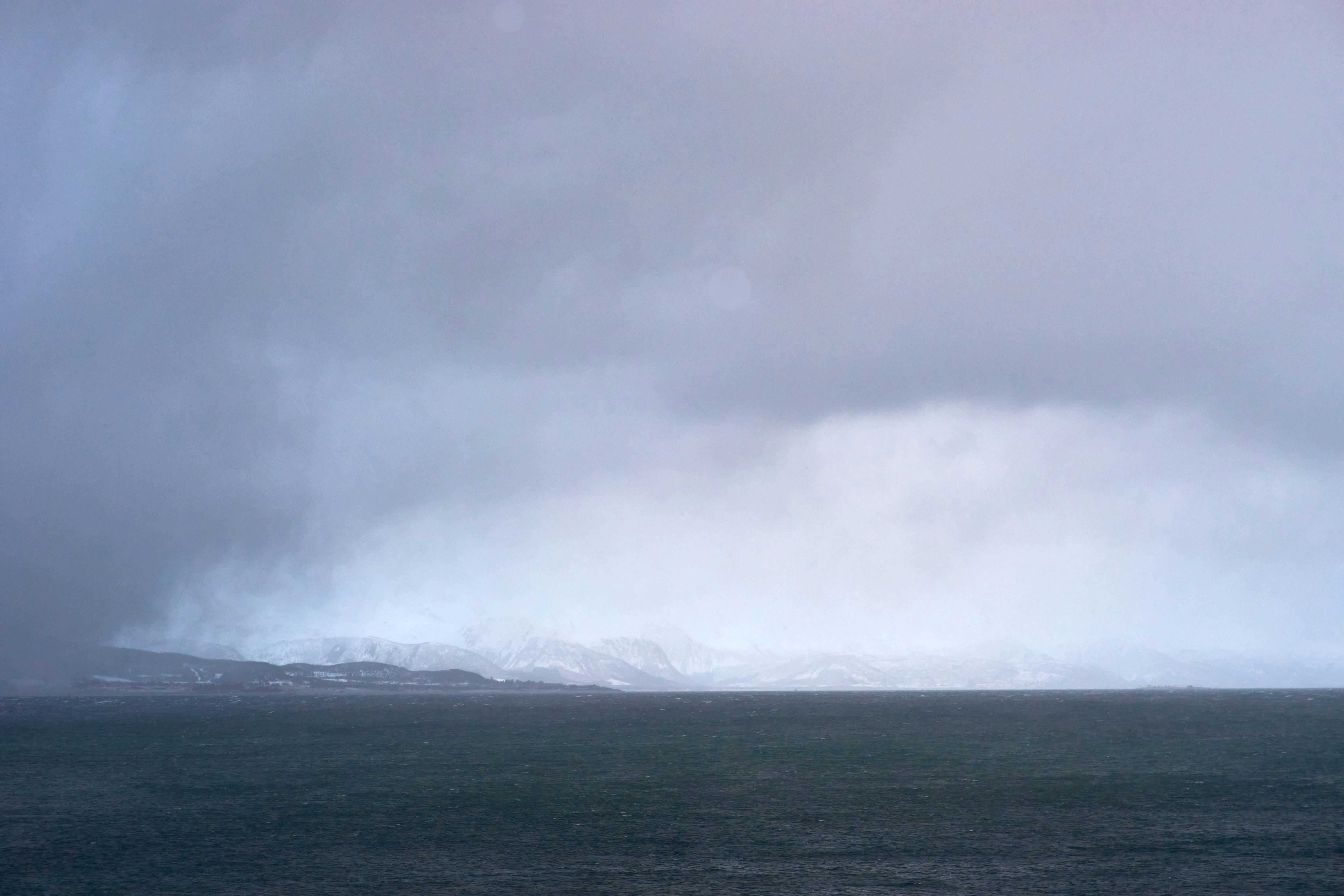 Photo by wolfgang_hasselmann