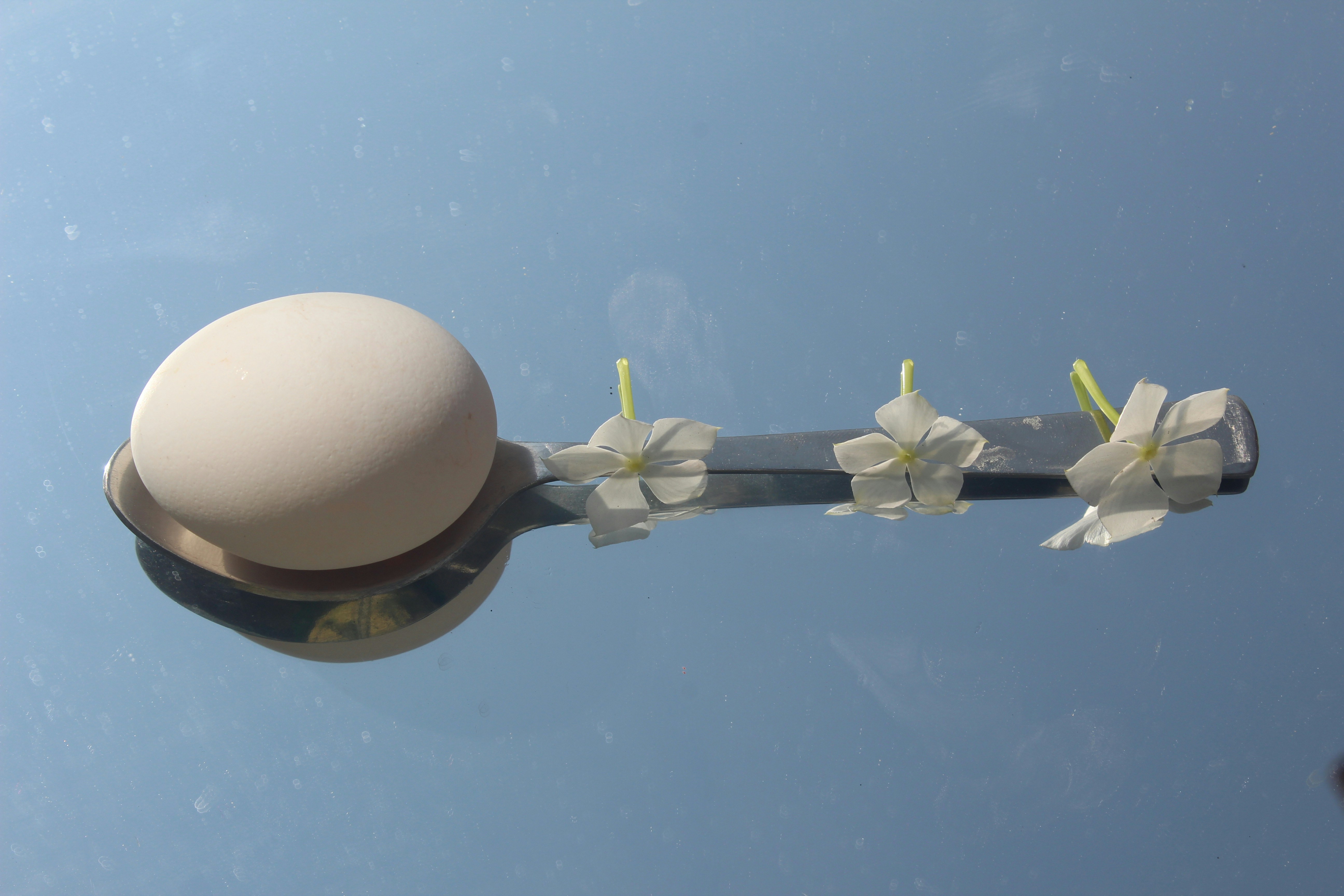 a street light with white flowers on it