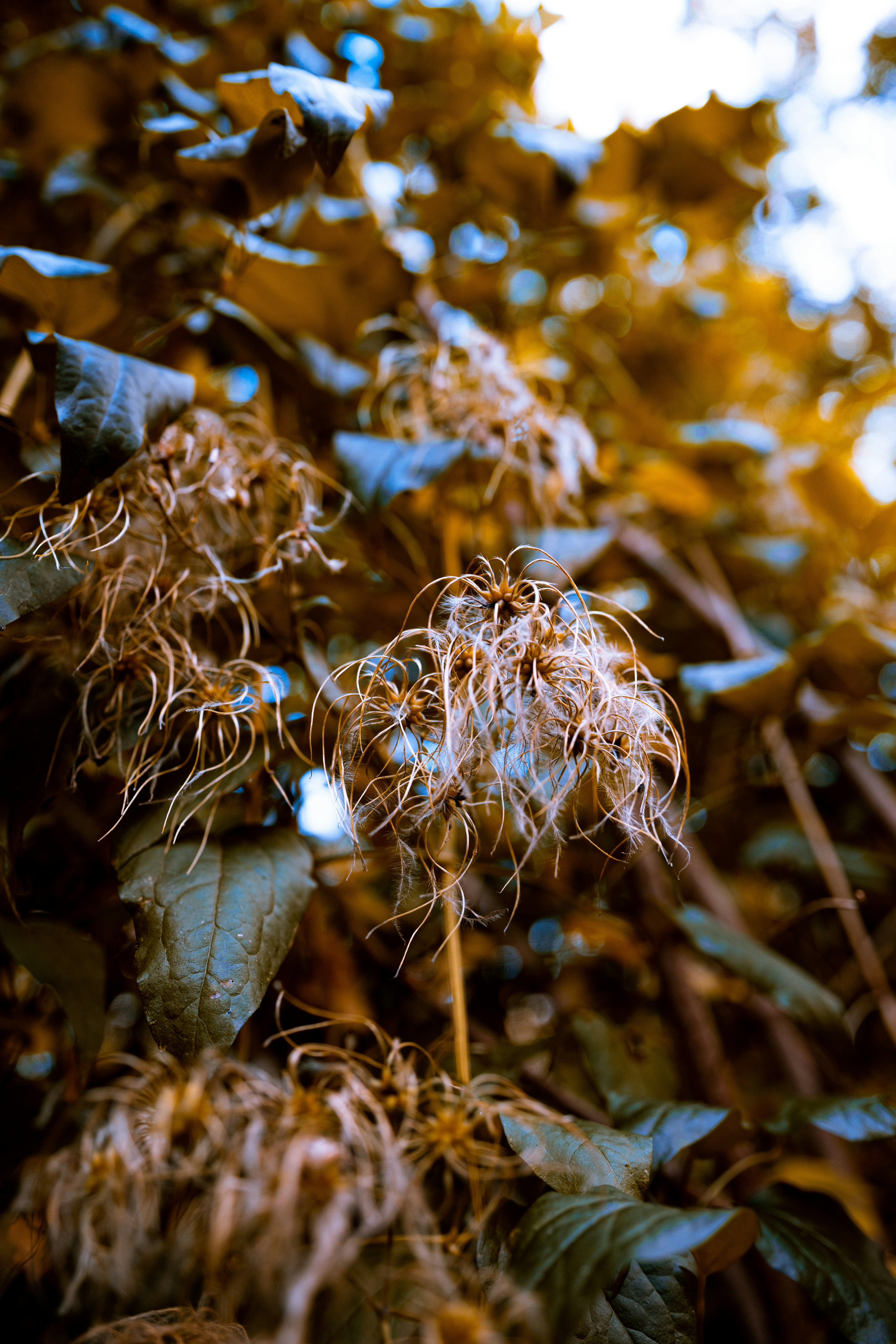 Photo by jonah_loeffler