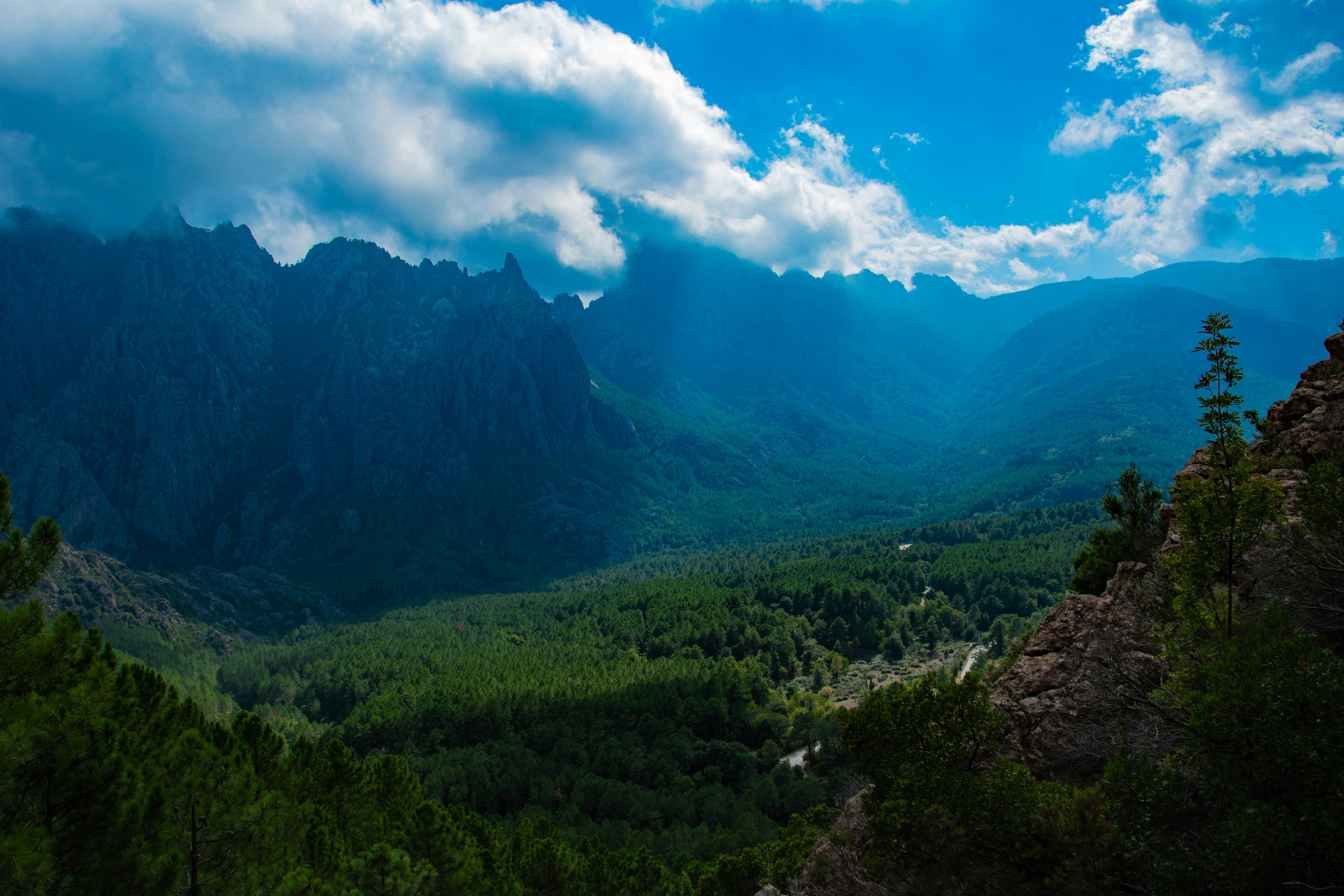 Photo by jonah_loeffler