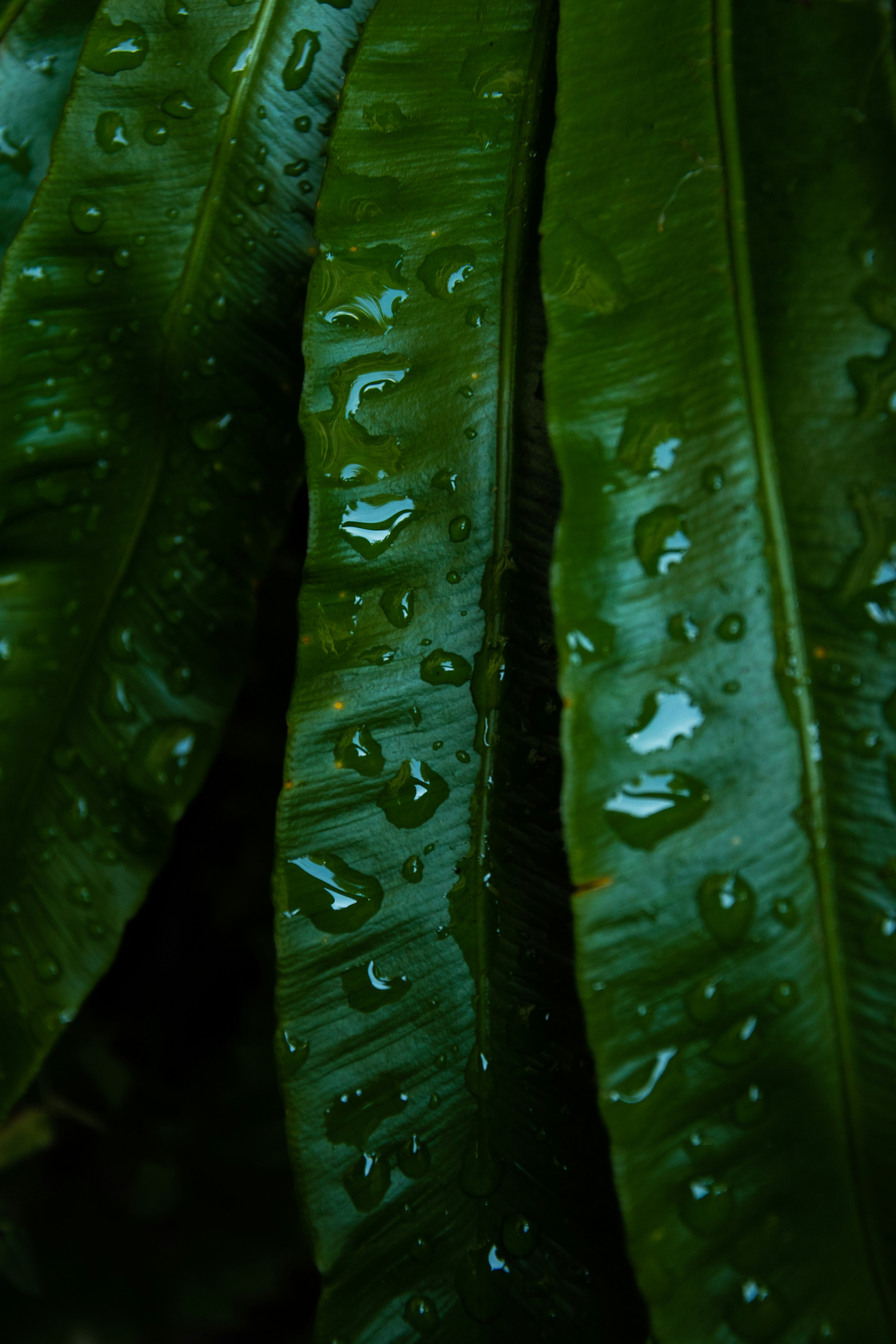 Photo by jonah_loeffler