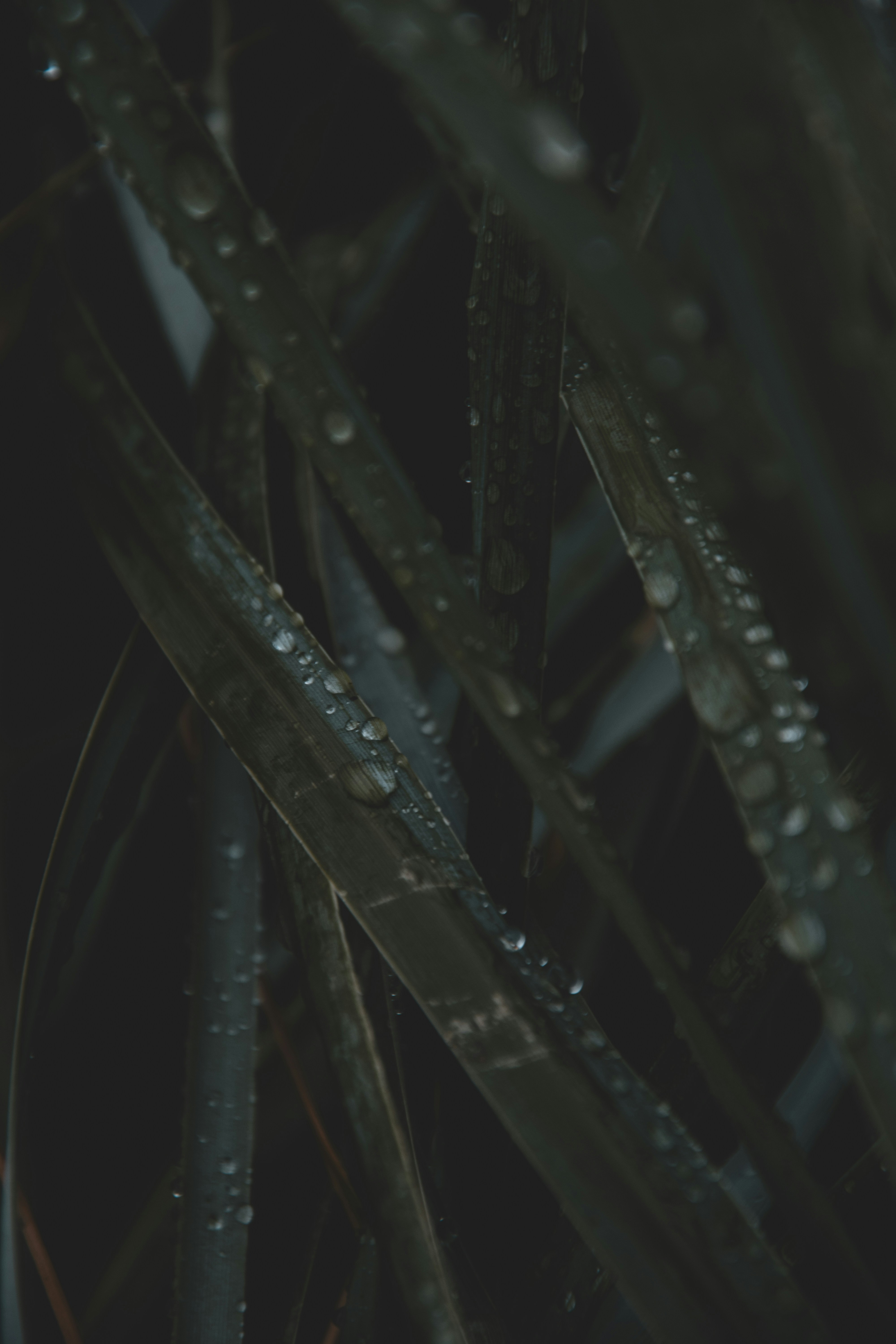 Photo by jonah_loeffler