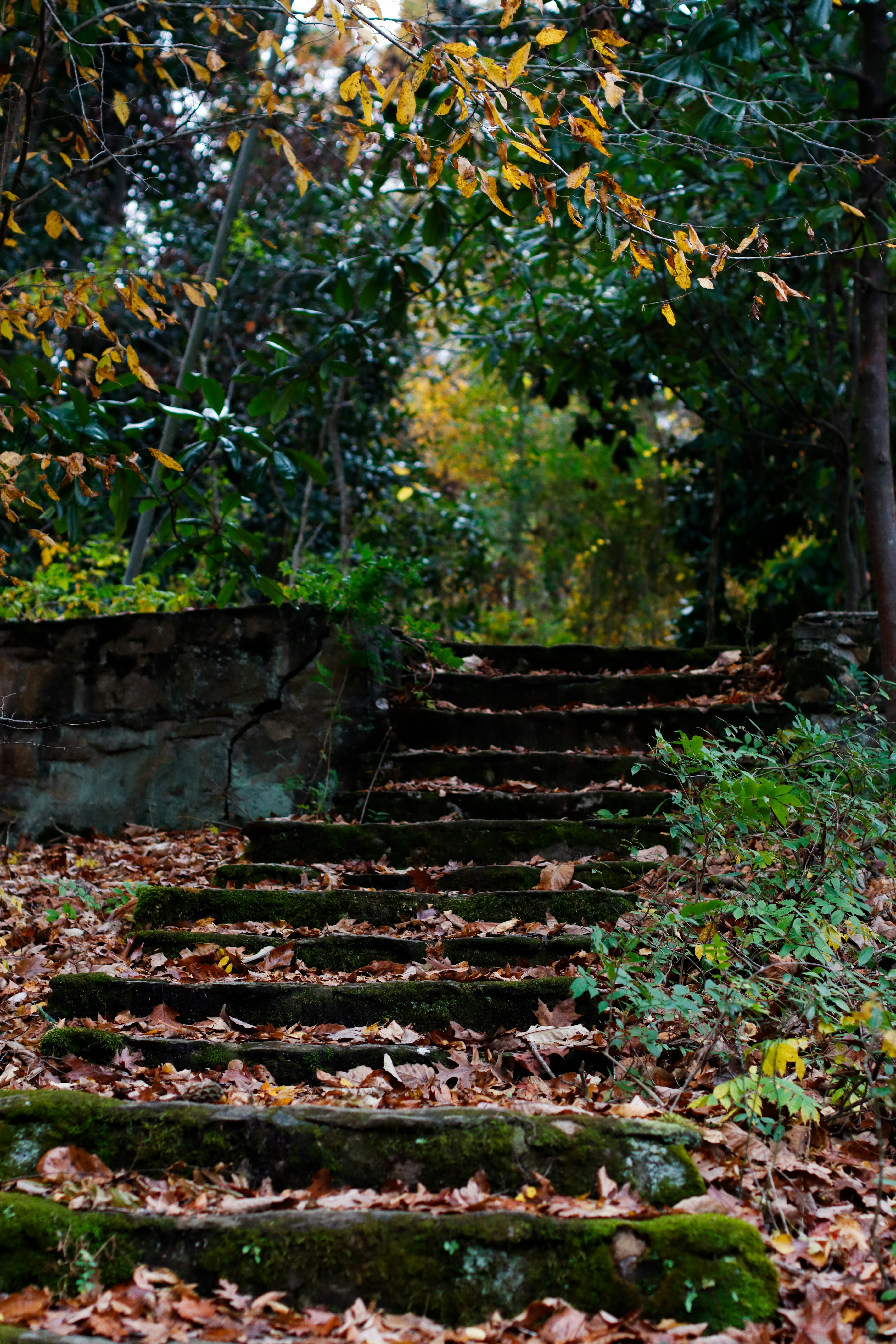 Photo by alla_kemelmakher