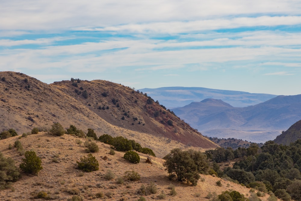 uma vista de uma cordilheira com árvores e montanhas ao fundo