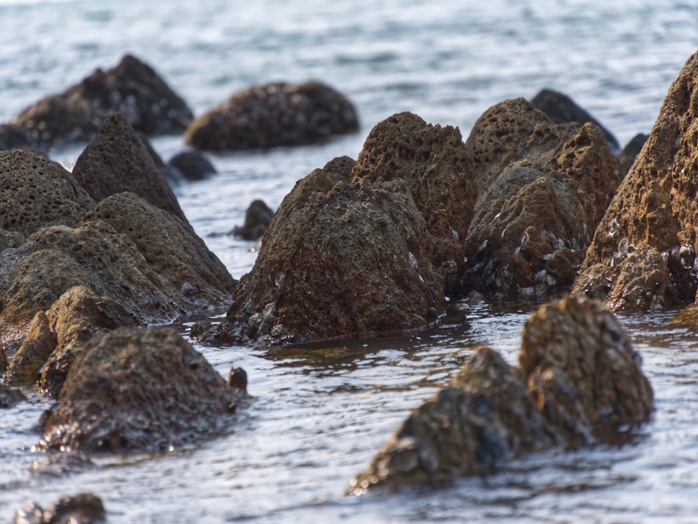 a bunch of rocks in the water near the beach