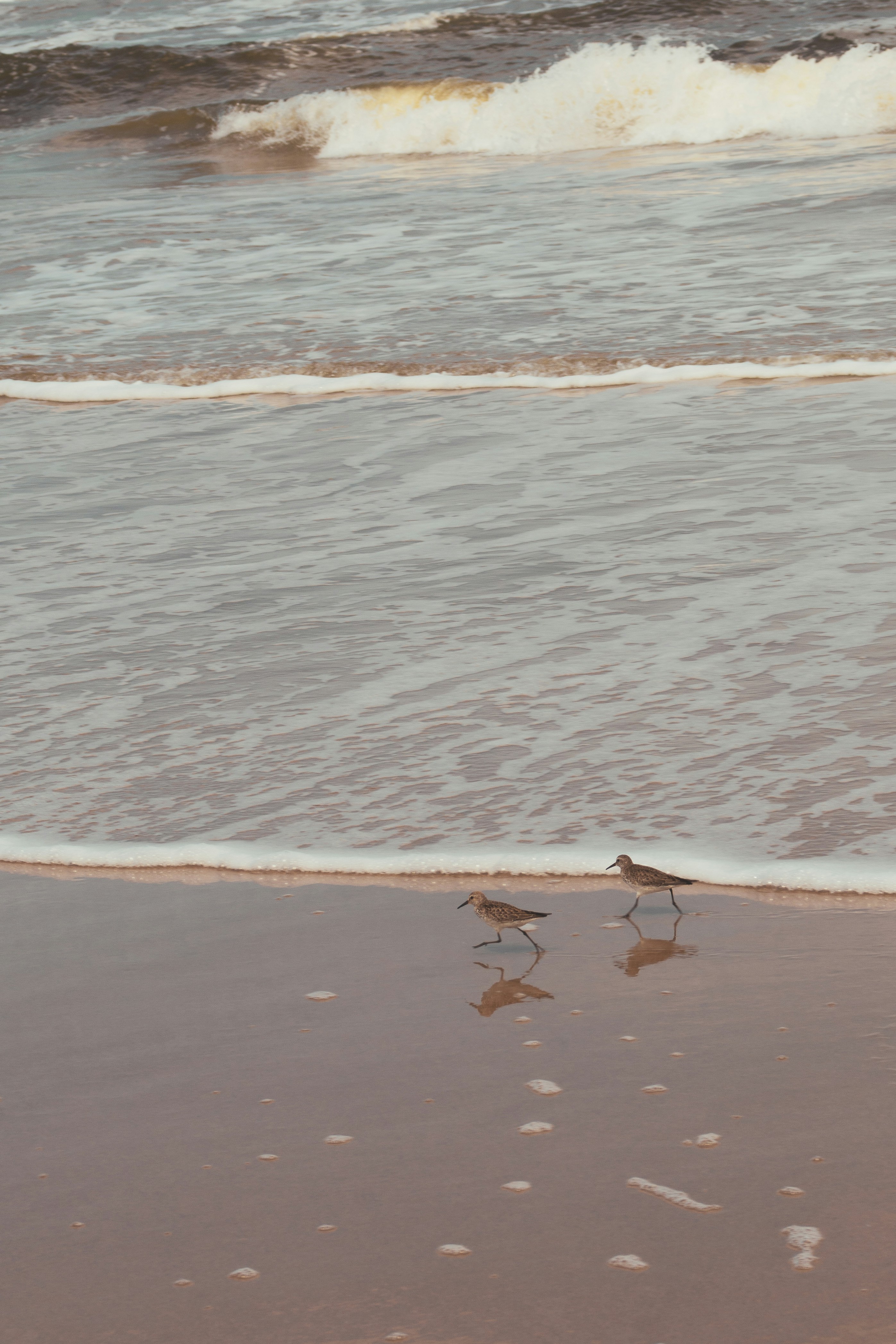 Photo by dantecandal