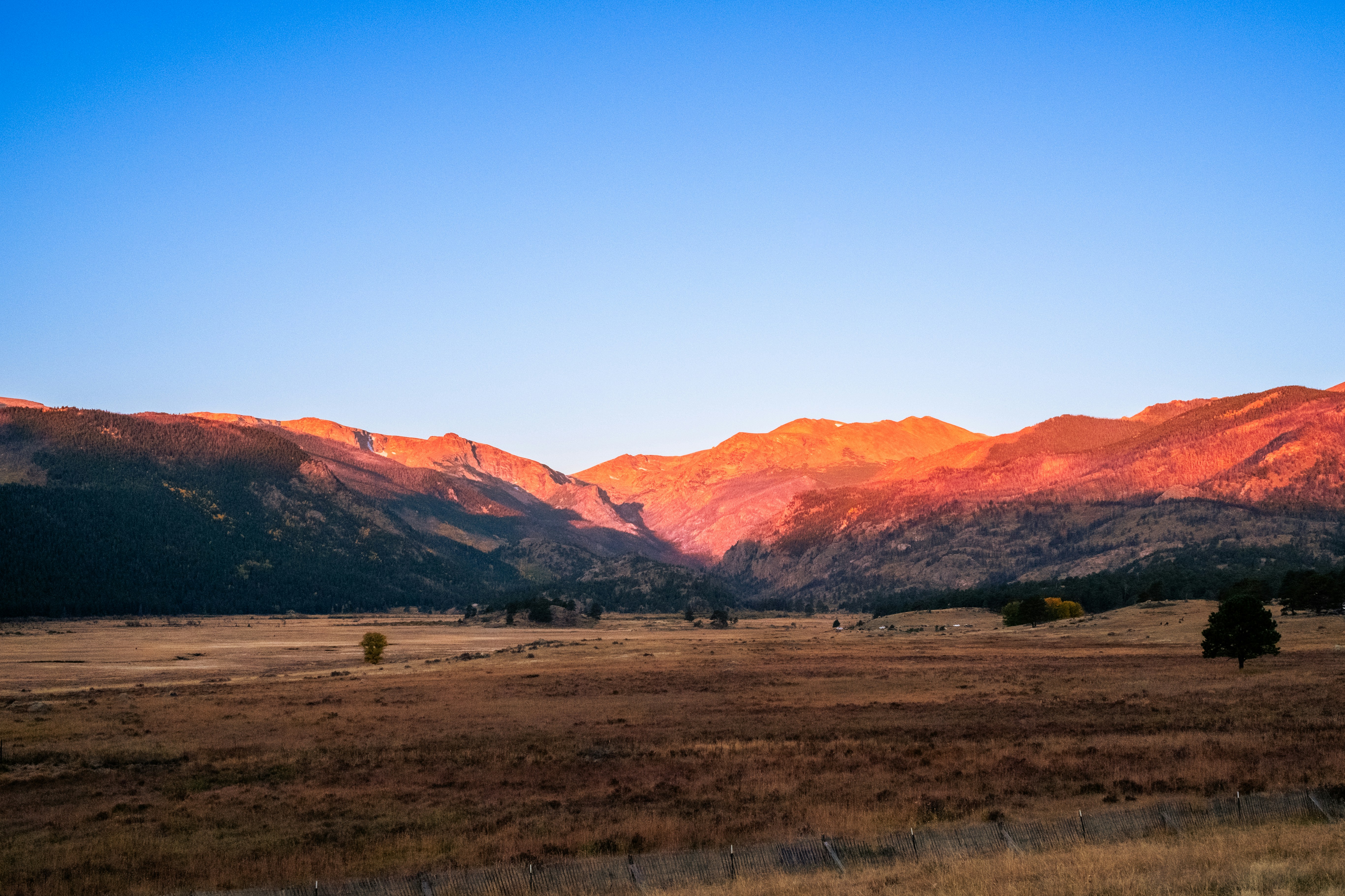 Photo by nicholas_szewczyk