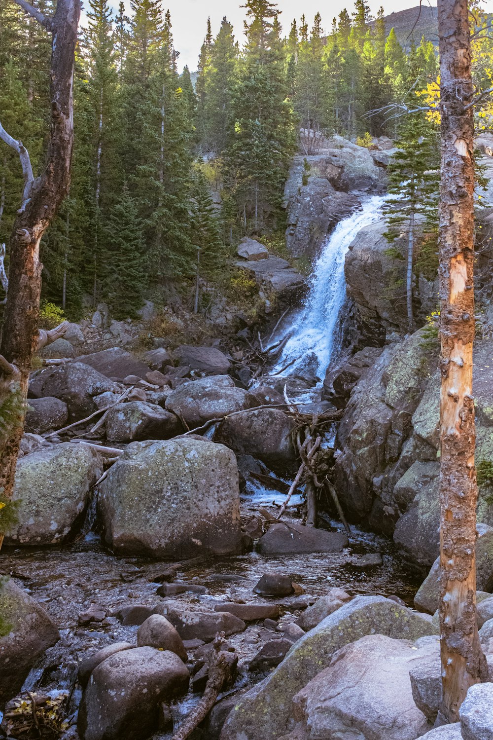 a small waterfall in the middle of a forest