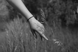 A hand with a bracelet lightly touches tall grass in a natural setting, conveying a gentle interaction with nature.