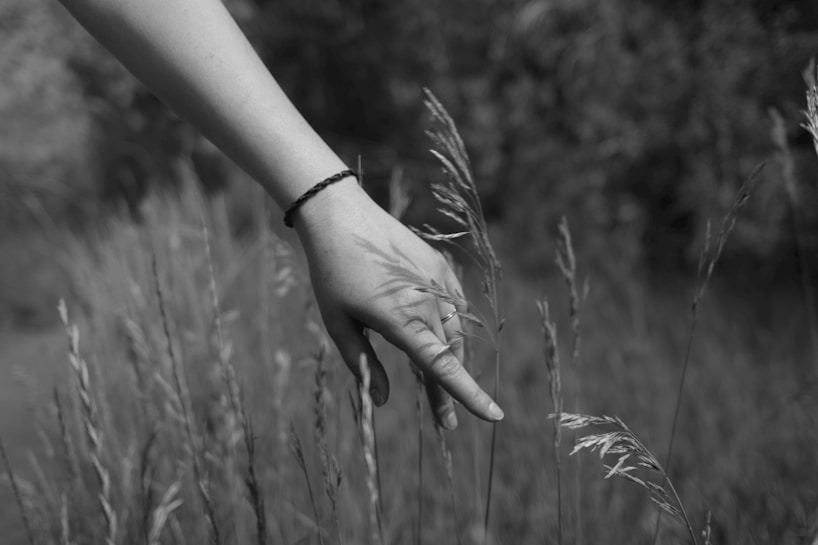 A hand with a bracelet lightly touches tall grass in a natural setting, conveying a gentle interaction with nature.