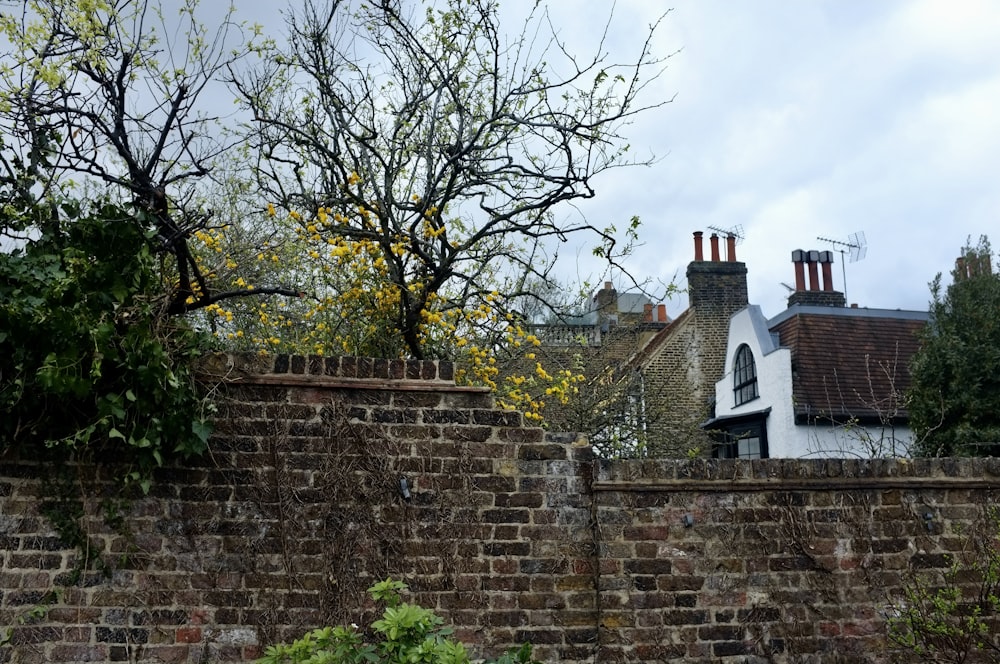 a brick wall with a clock tower in the background