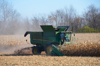 A large green combine harvester is actively working in a cornfield, cutting through dried corn stalks. Dust is stirred up around the machine, indicating the harvesting process. Bare trees surround the field, suggesting late autumn or early winter.