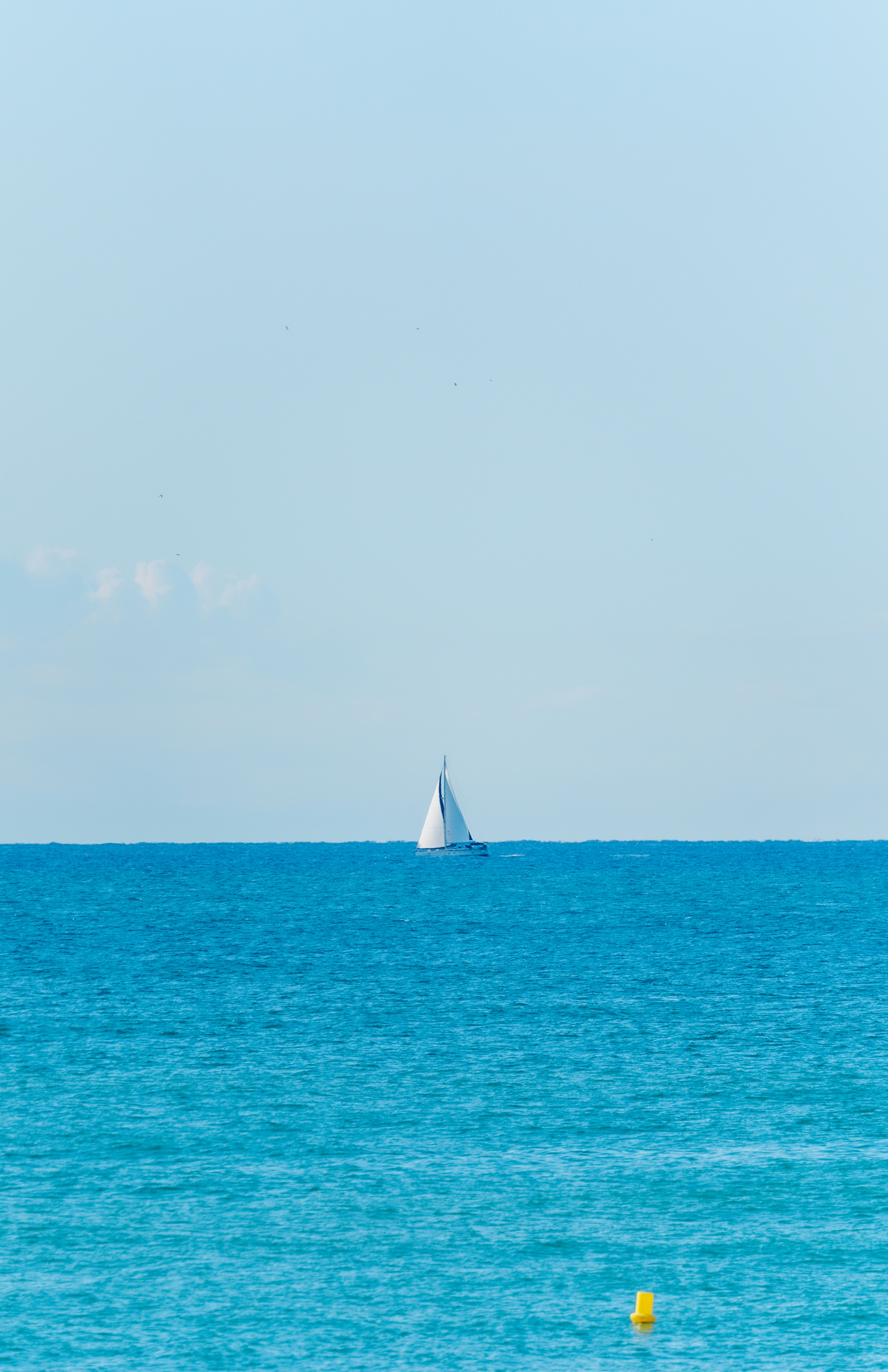 Photo by francis_nie