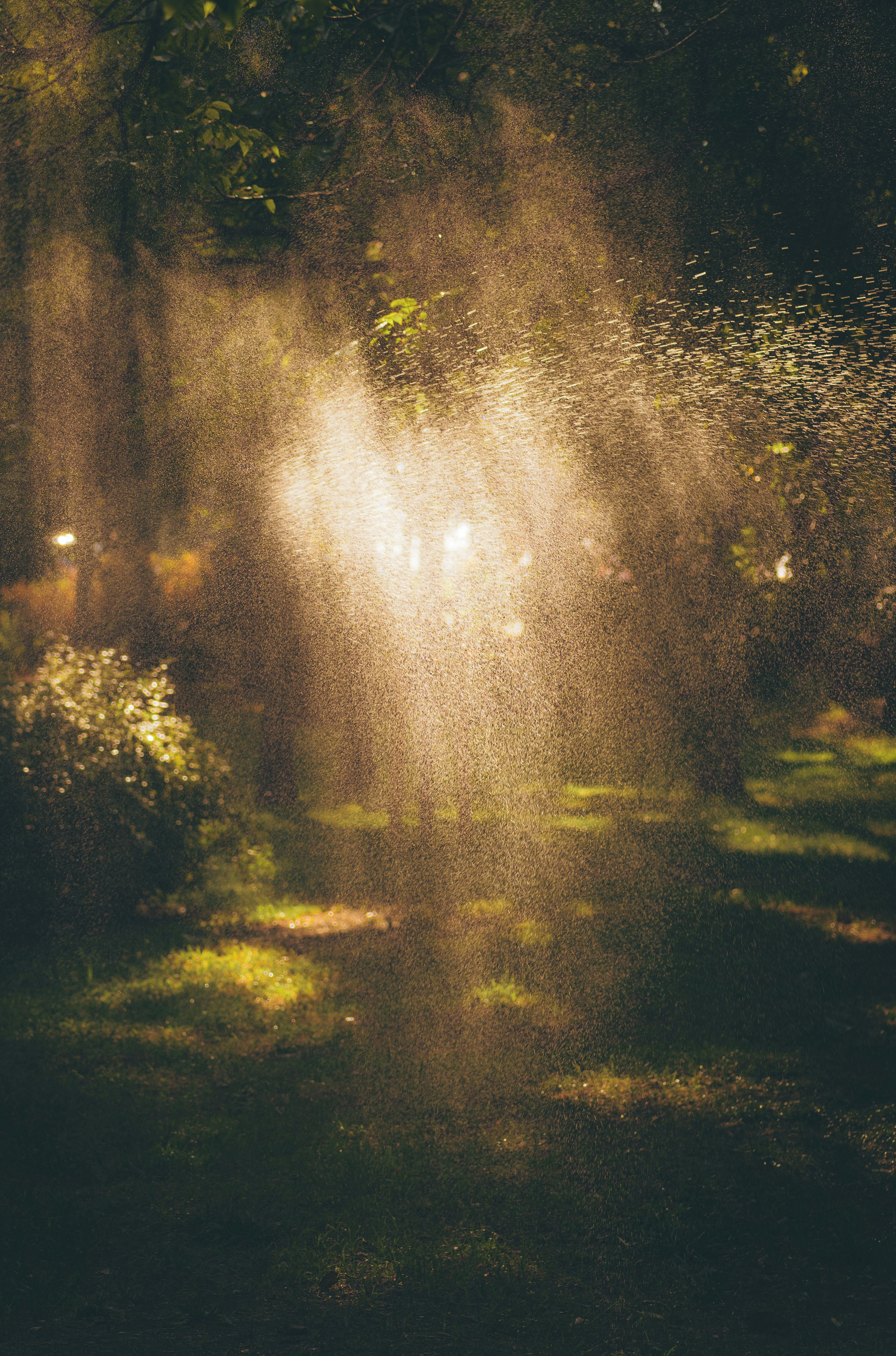 Photo by francis_nie