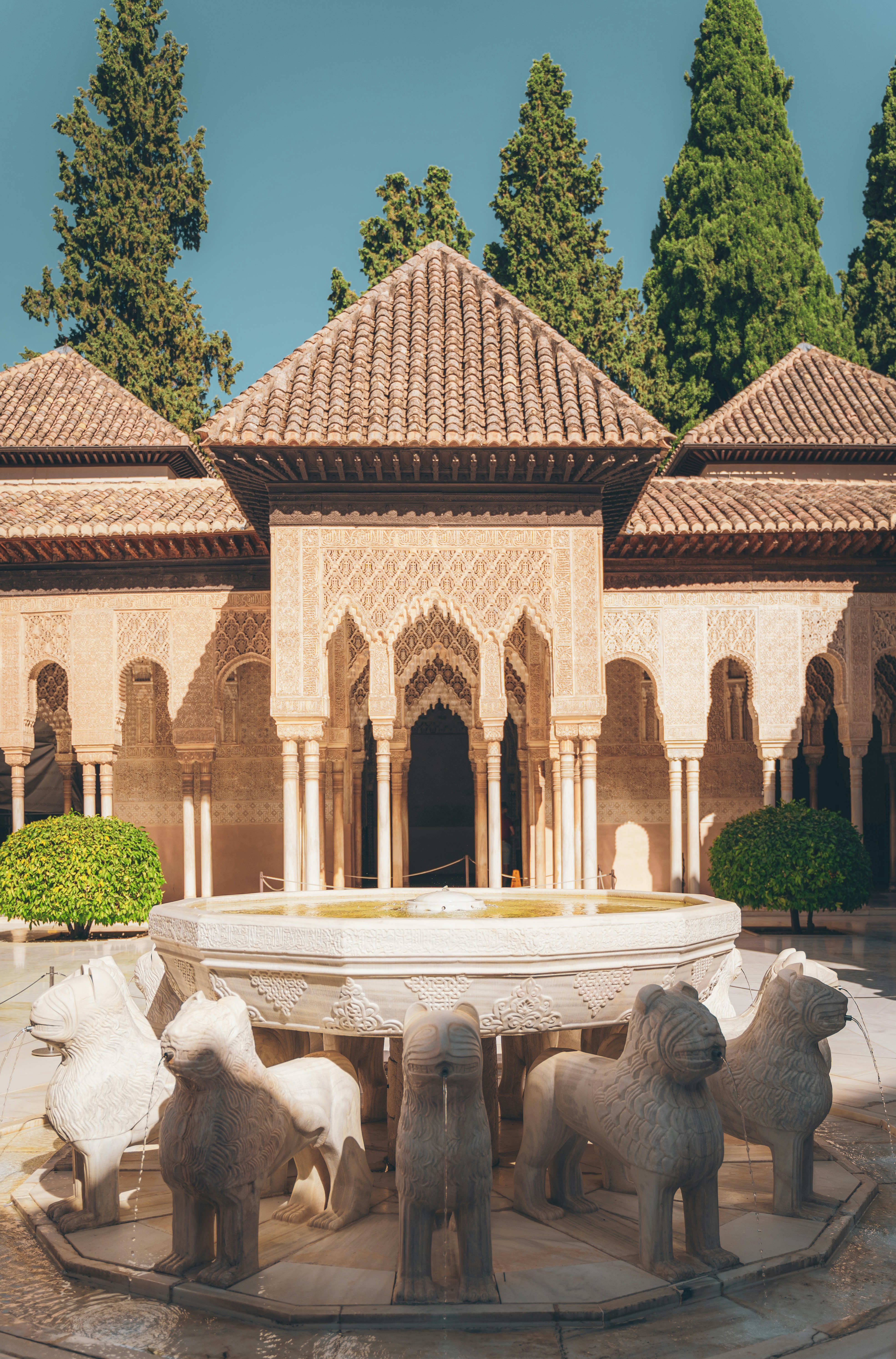 Photo by francis_nie