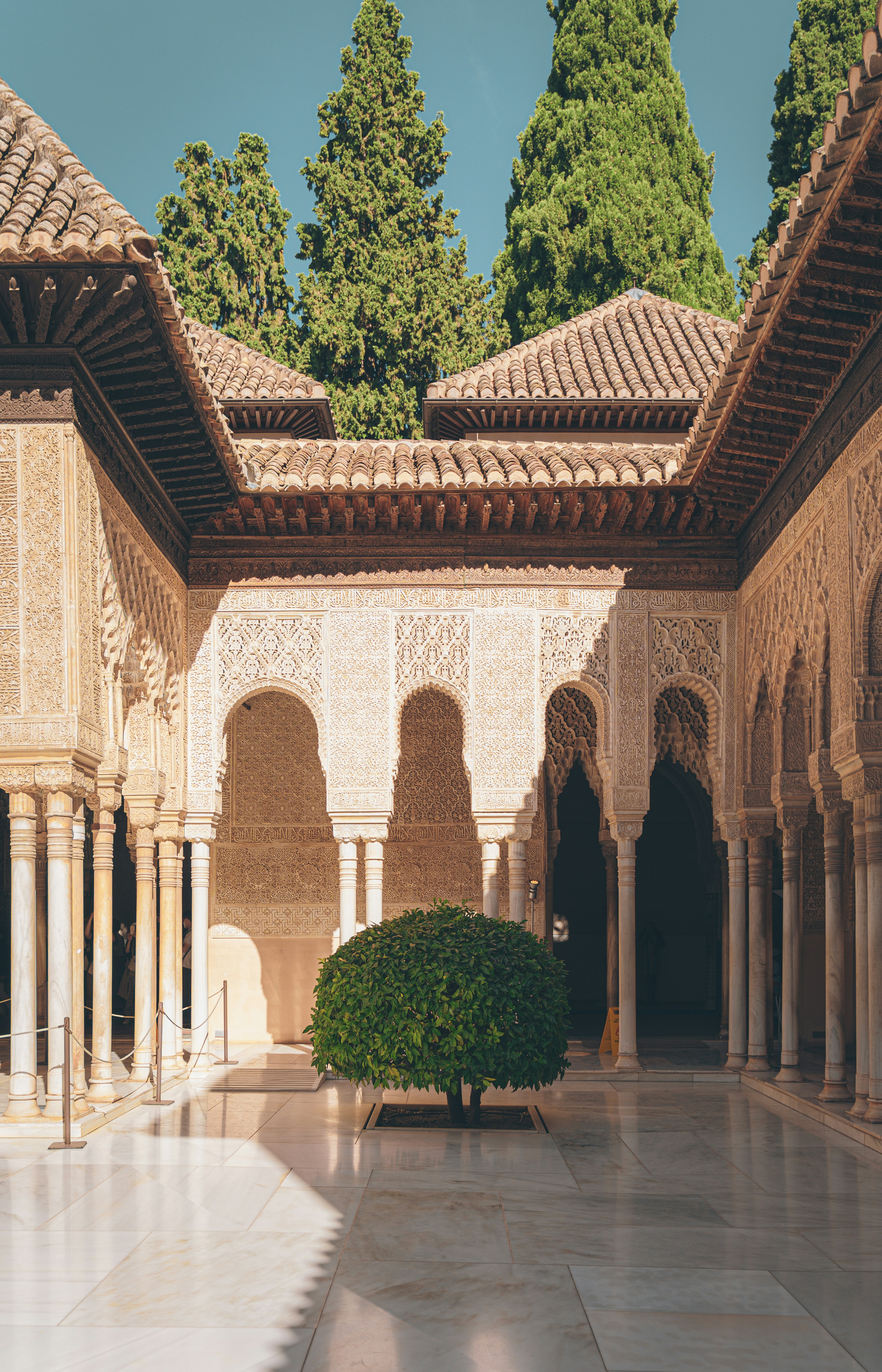 Photo by francis_nie