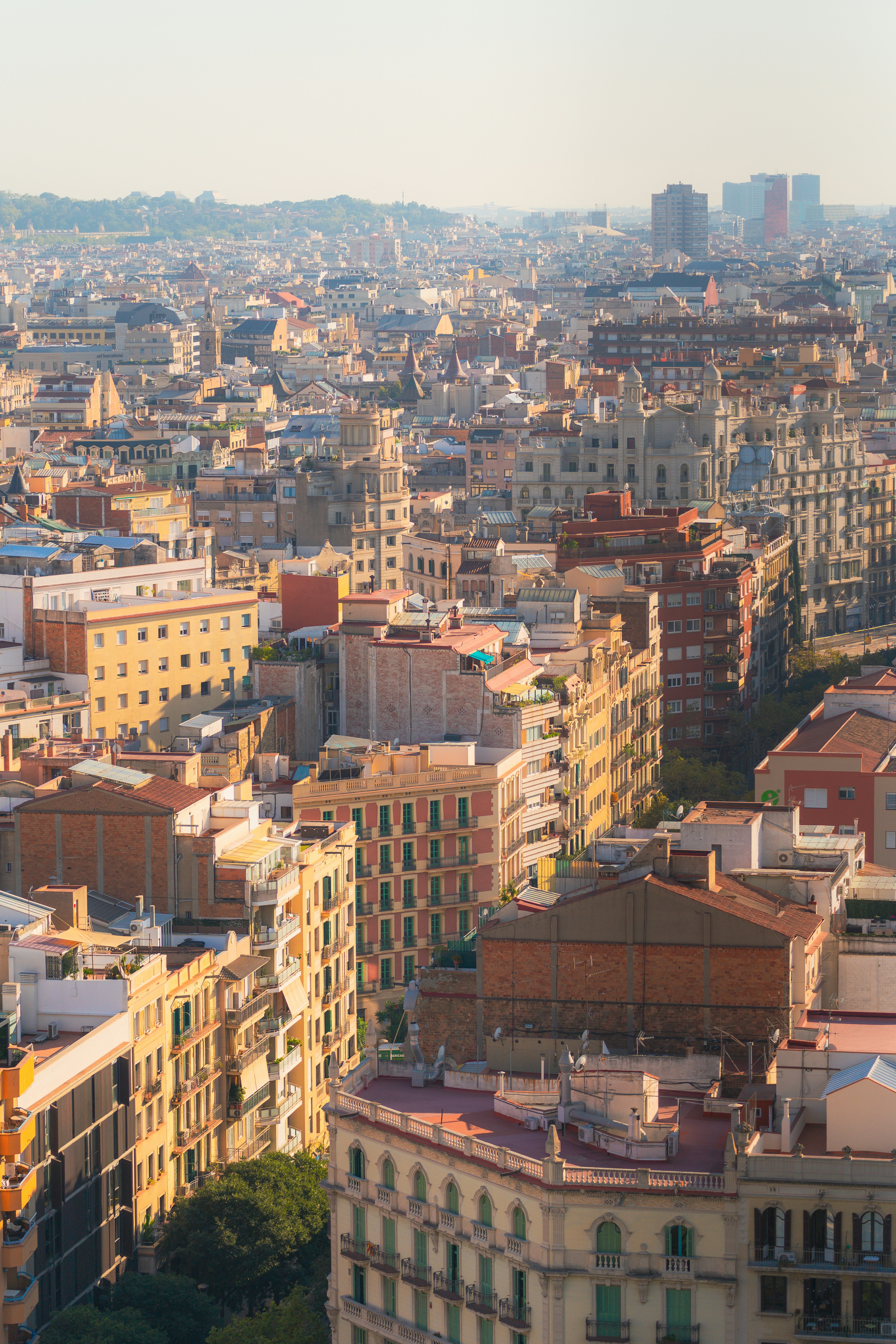 Photo by francis_nie