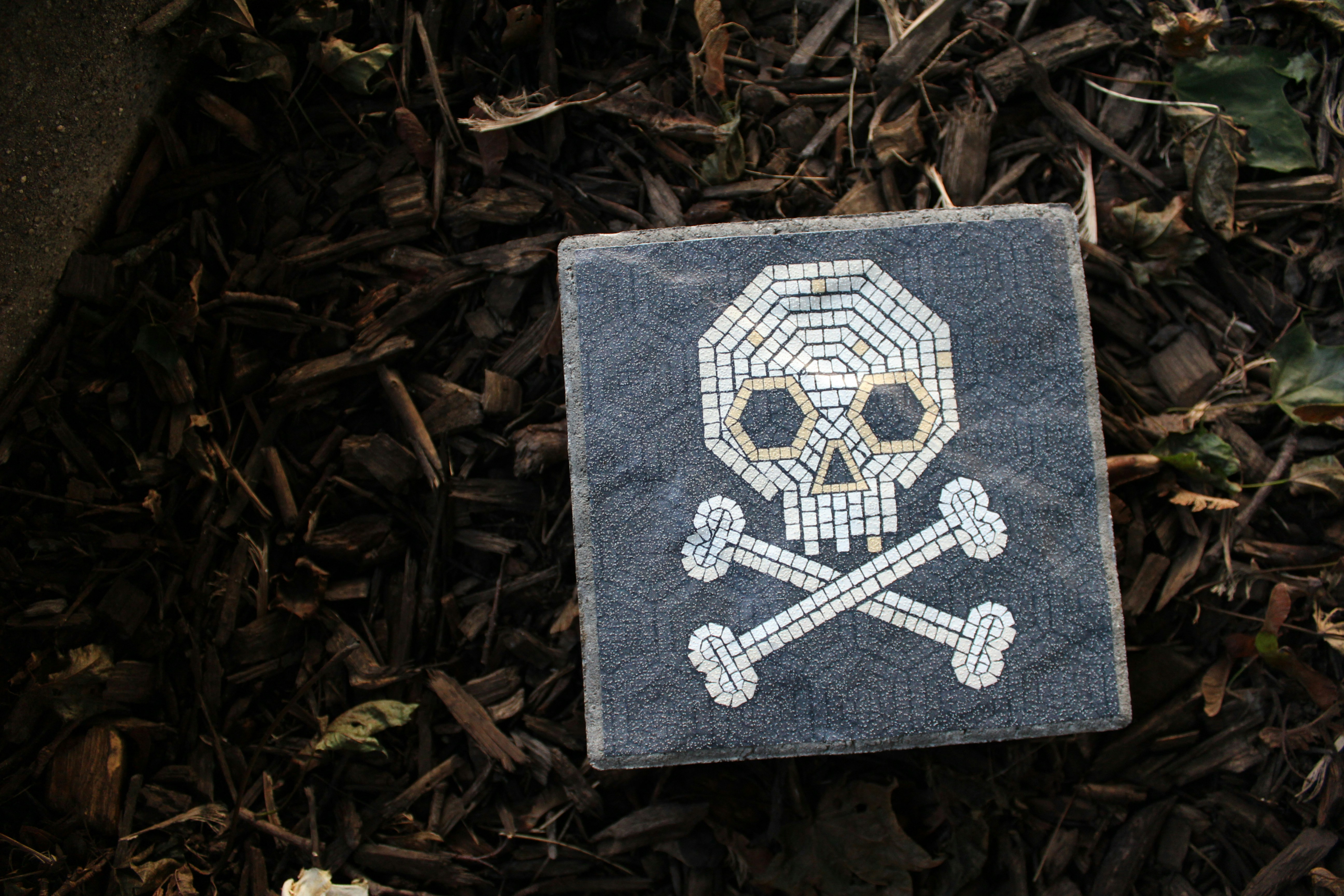 a stone with a skull and crossbones painted on it