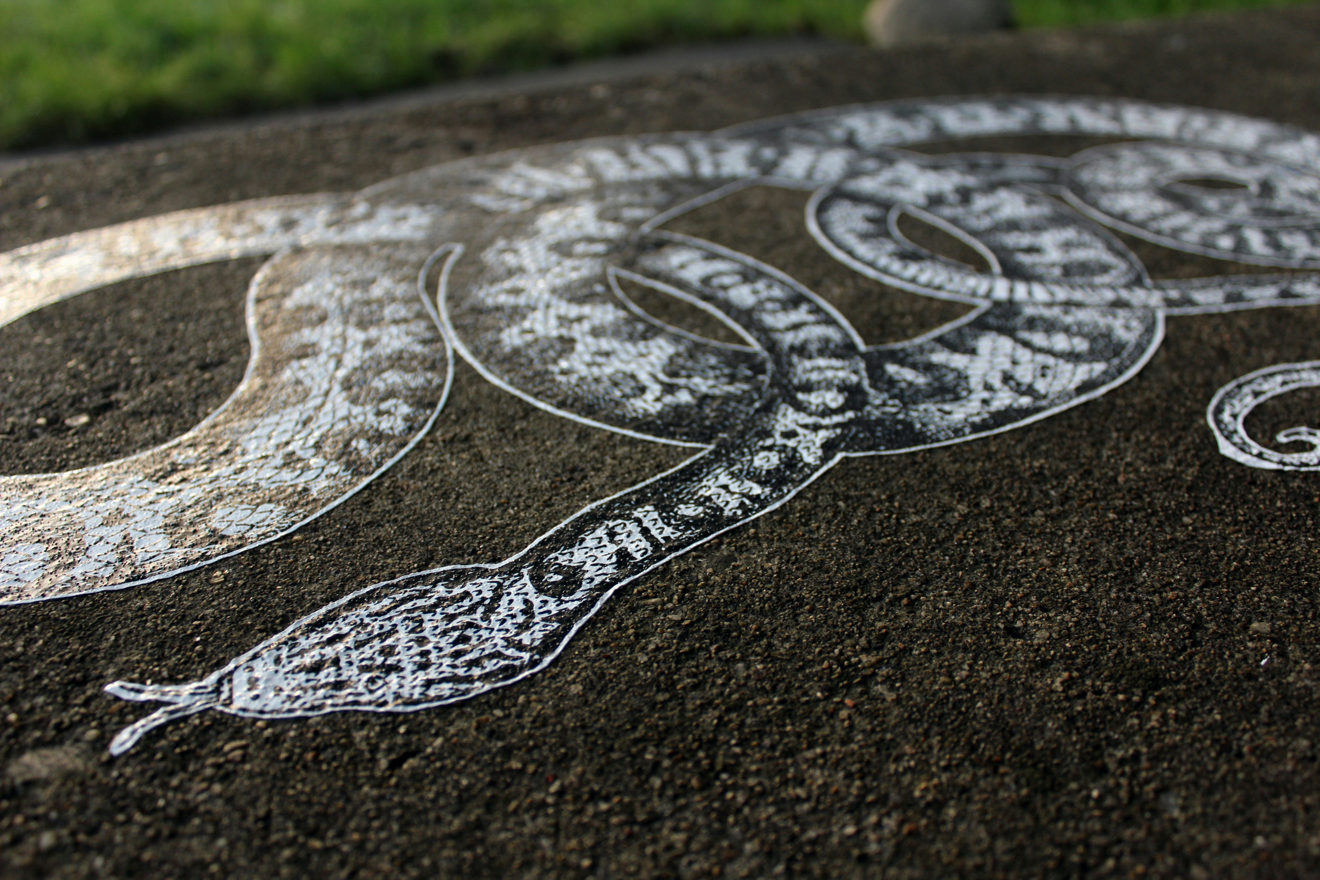 a chalk drawing of a snake on the ground