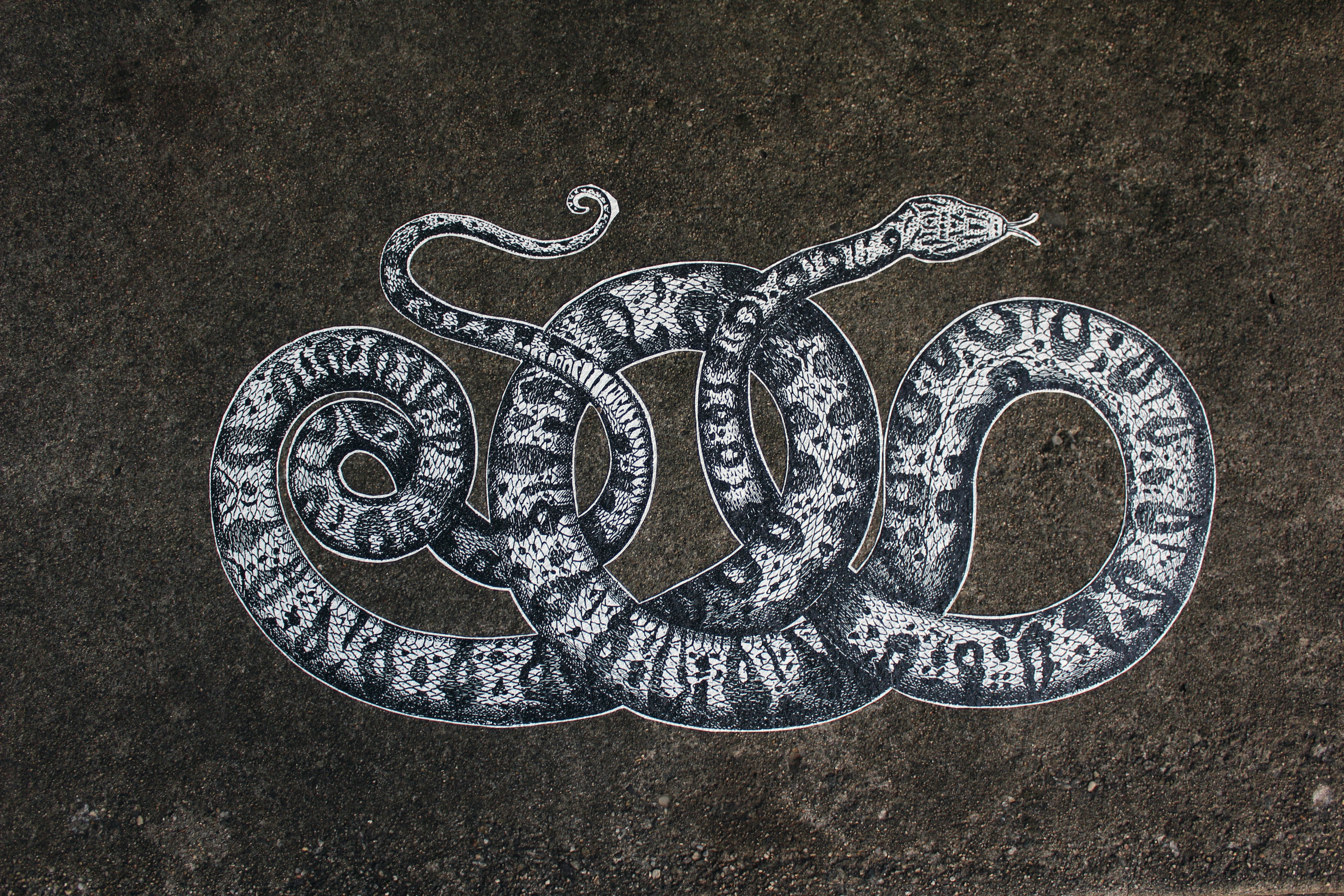 Monty Python & The Holy Grail: Legendary Birthday Wishes