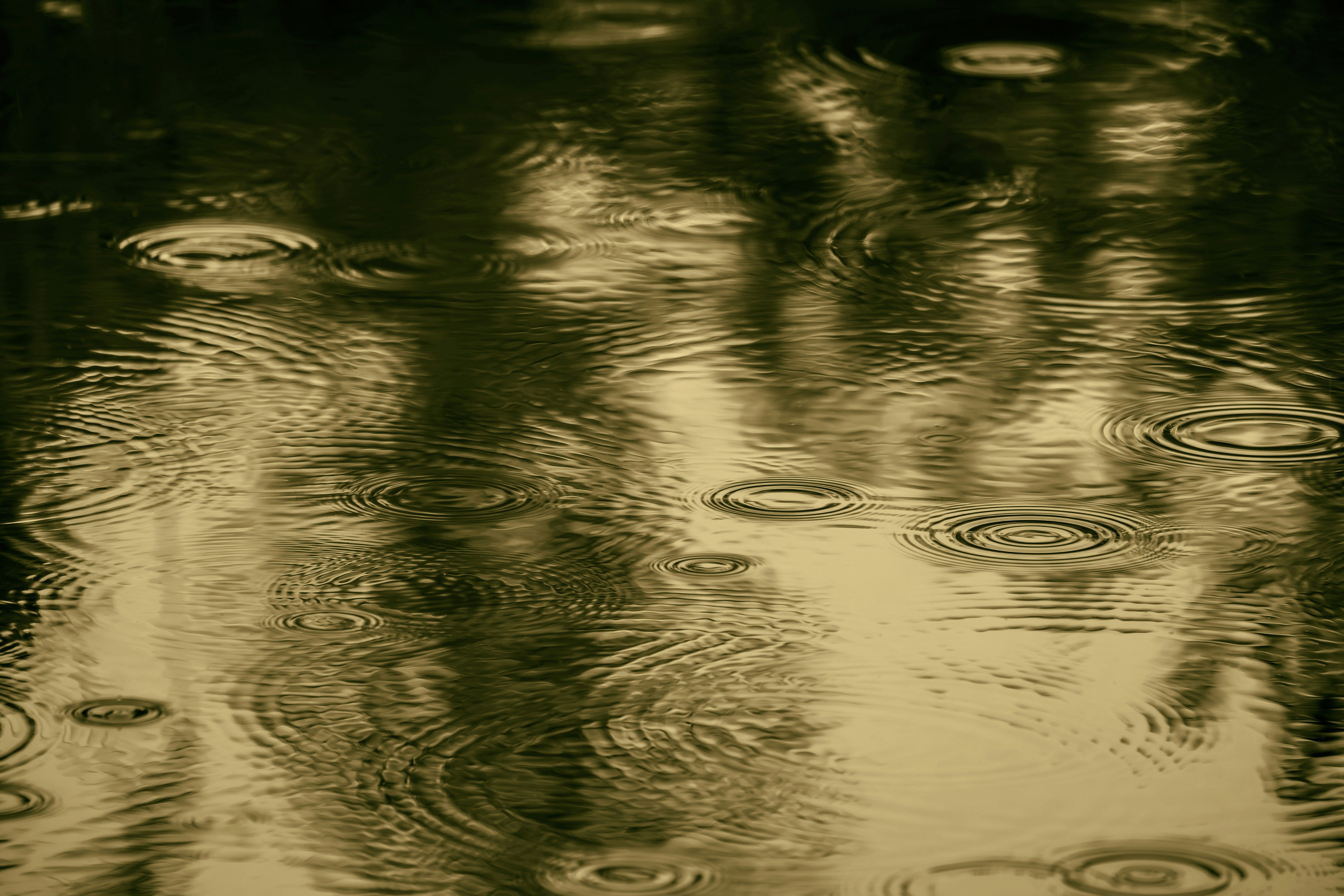 Photo by couleuroriginal