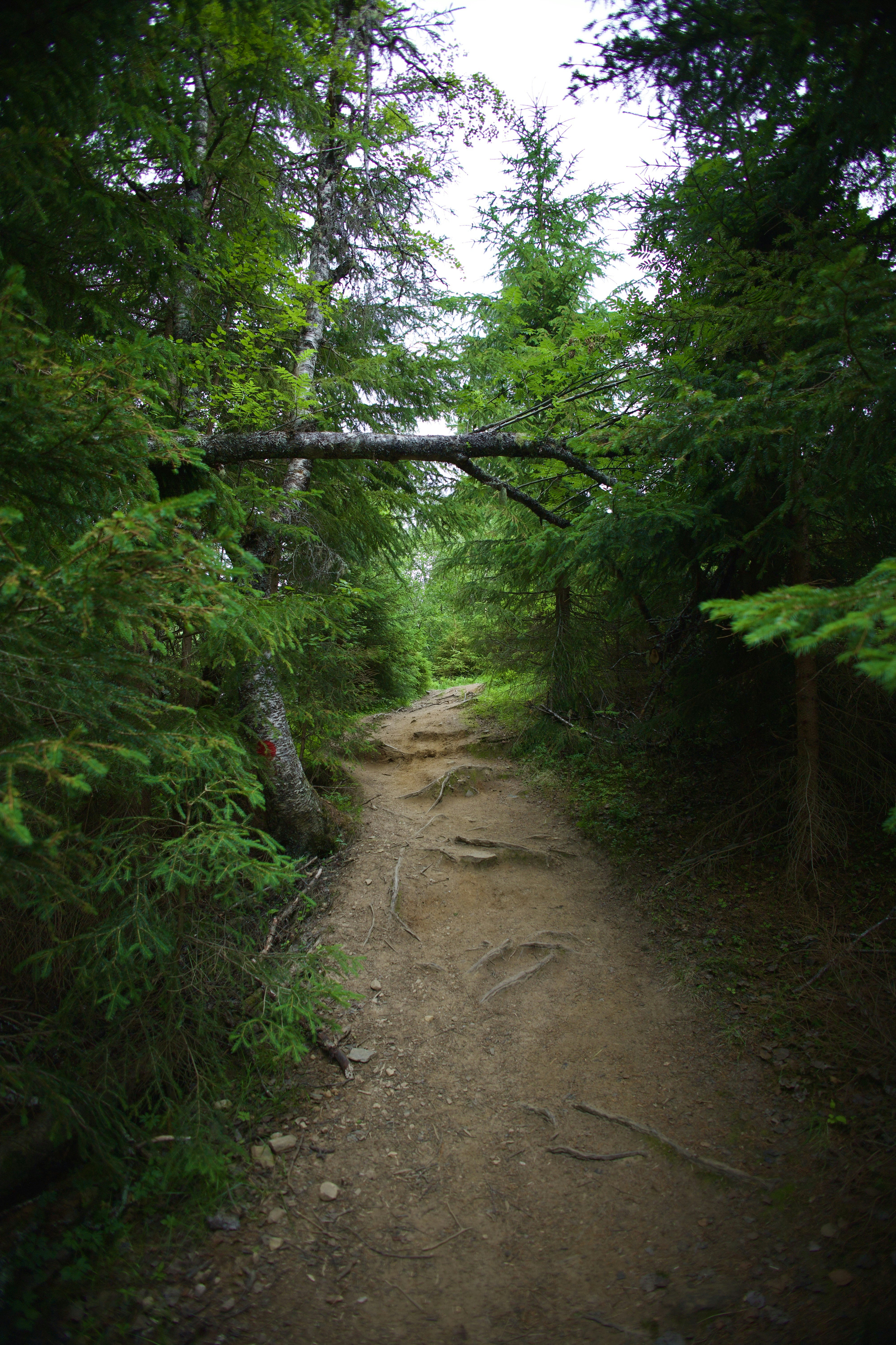 Photo by stockbirken