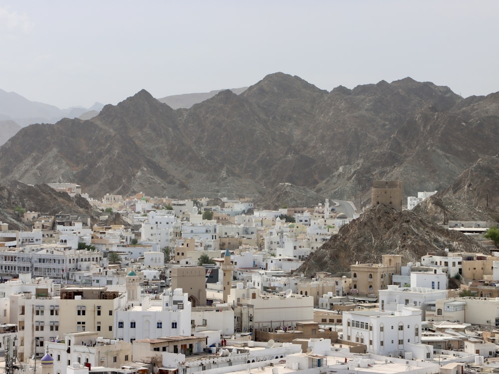 a view of a city with mountains in the background