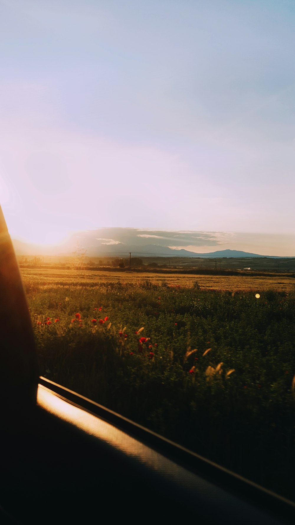 the sun is setting over a field of flowers