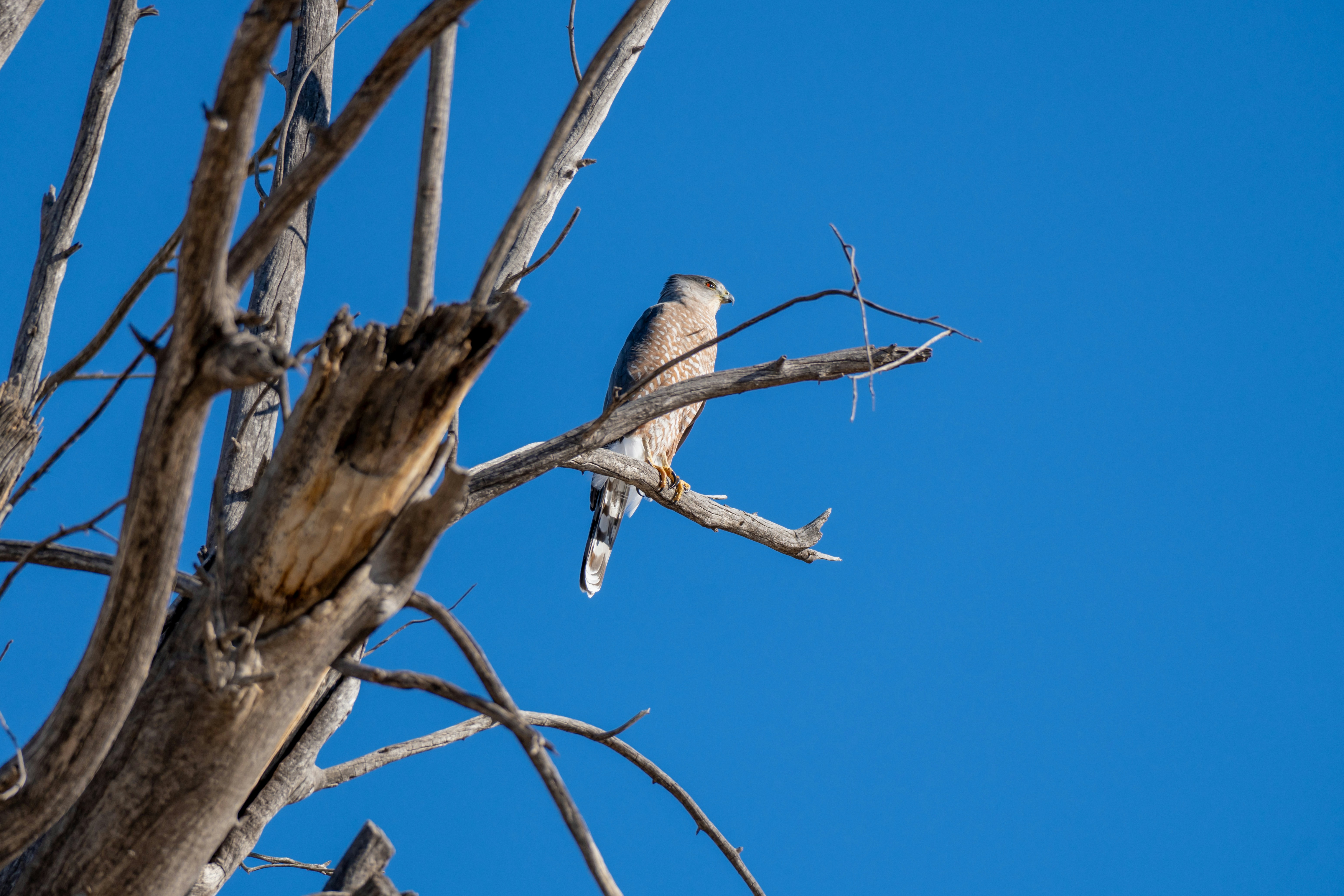 Photo by jcnonstop87