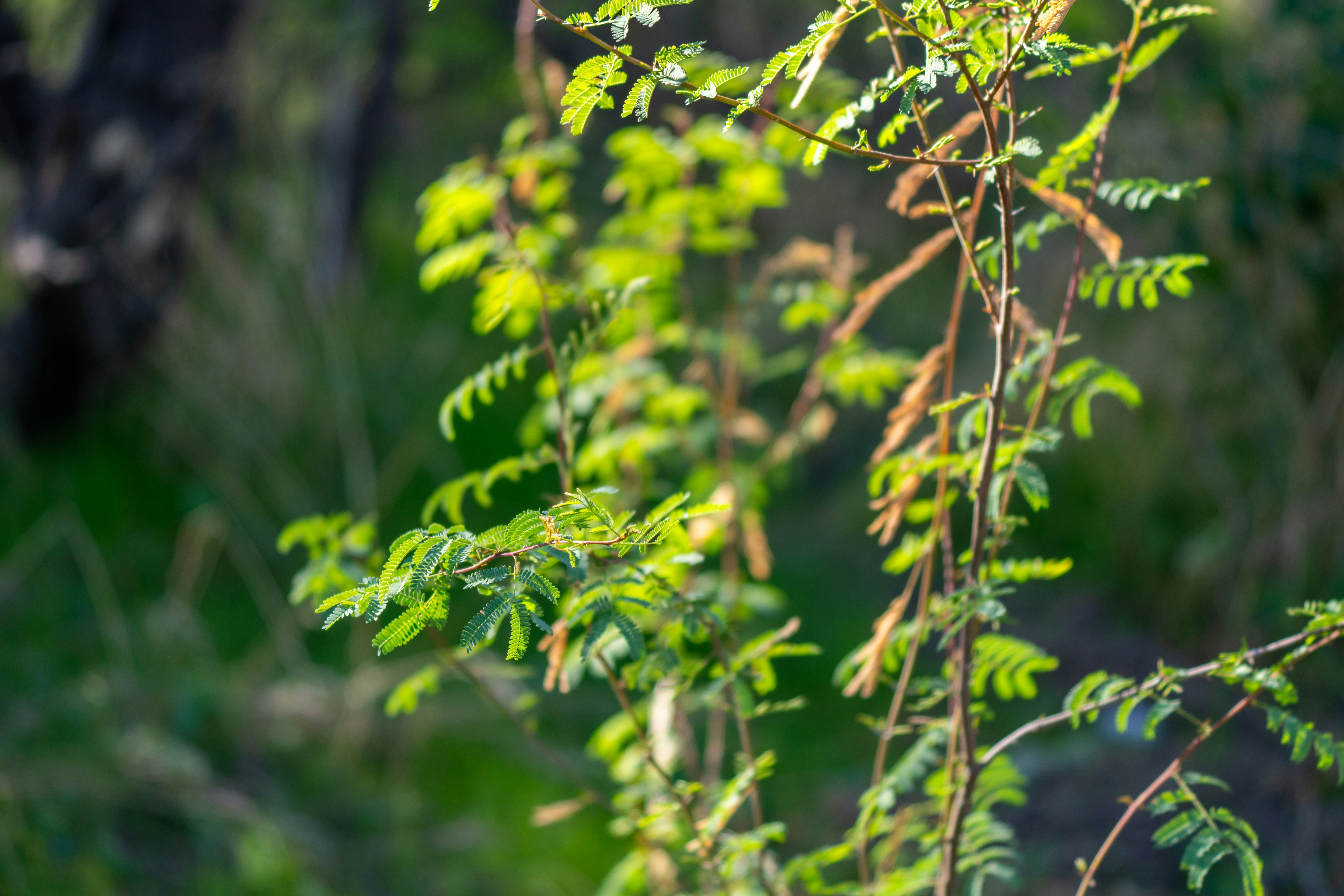 Photo by jcnonstop87