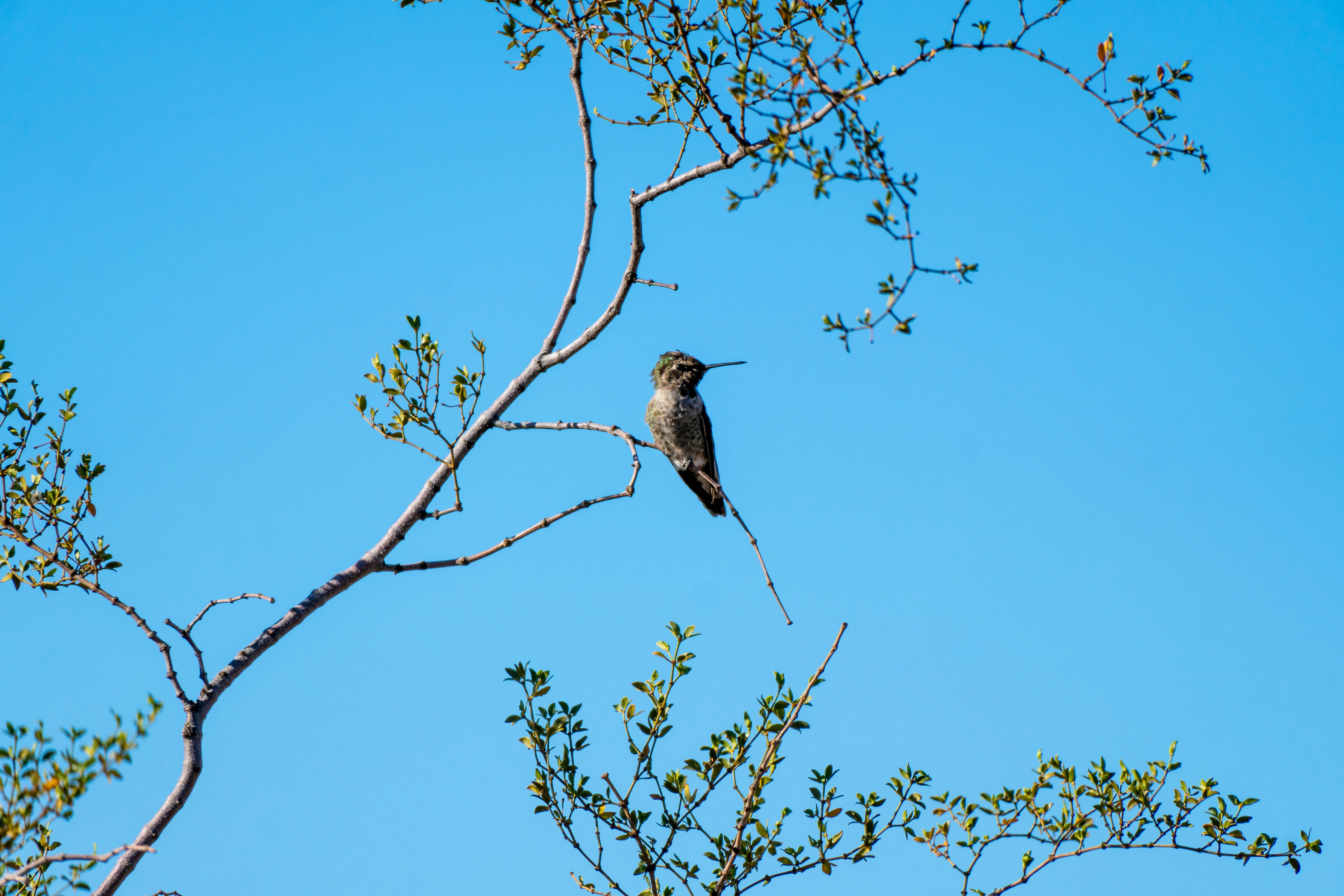 Photo by jcnonstop87