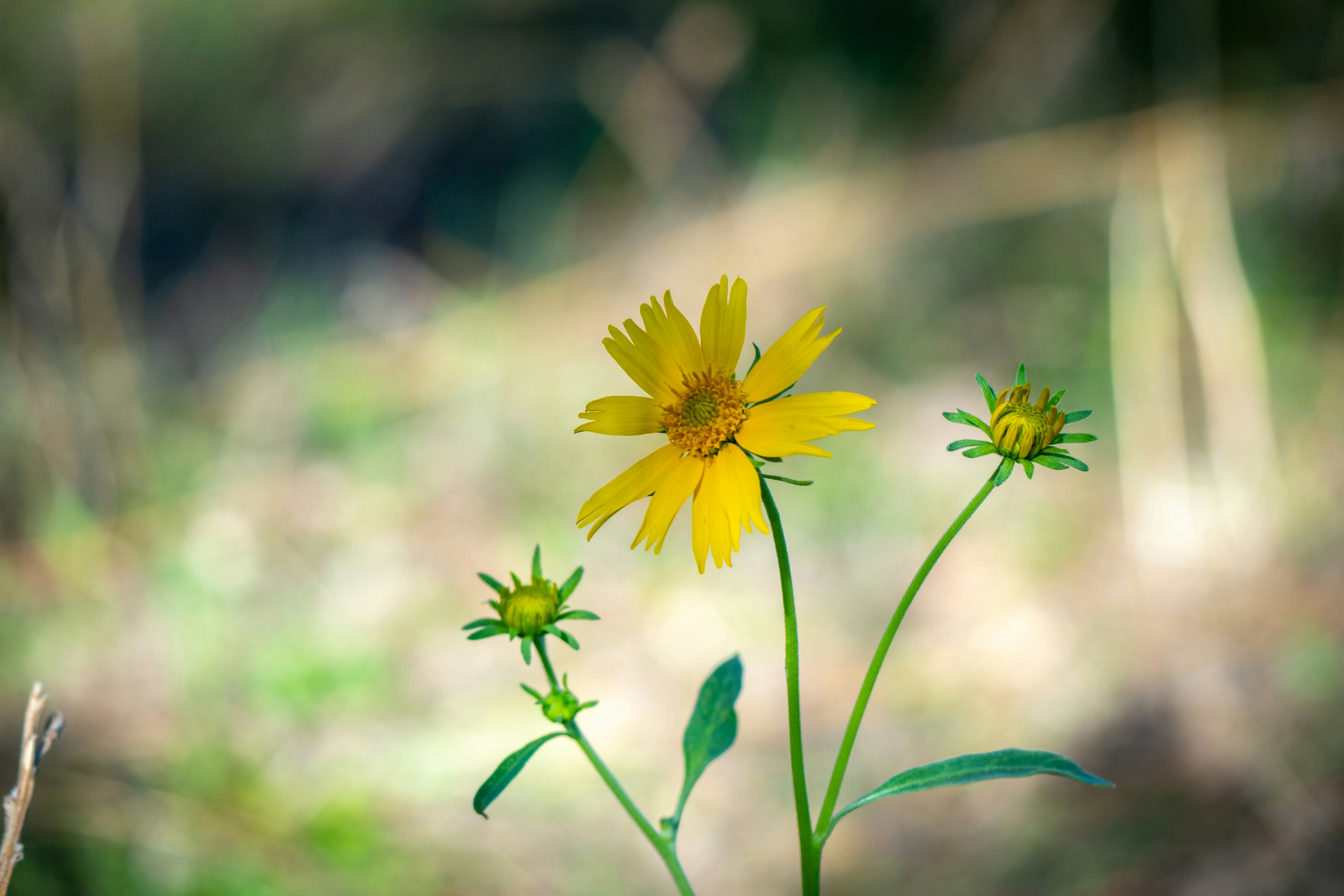 Photo by jcnonstop87