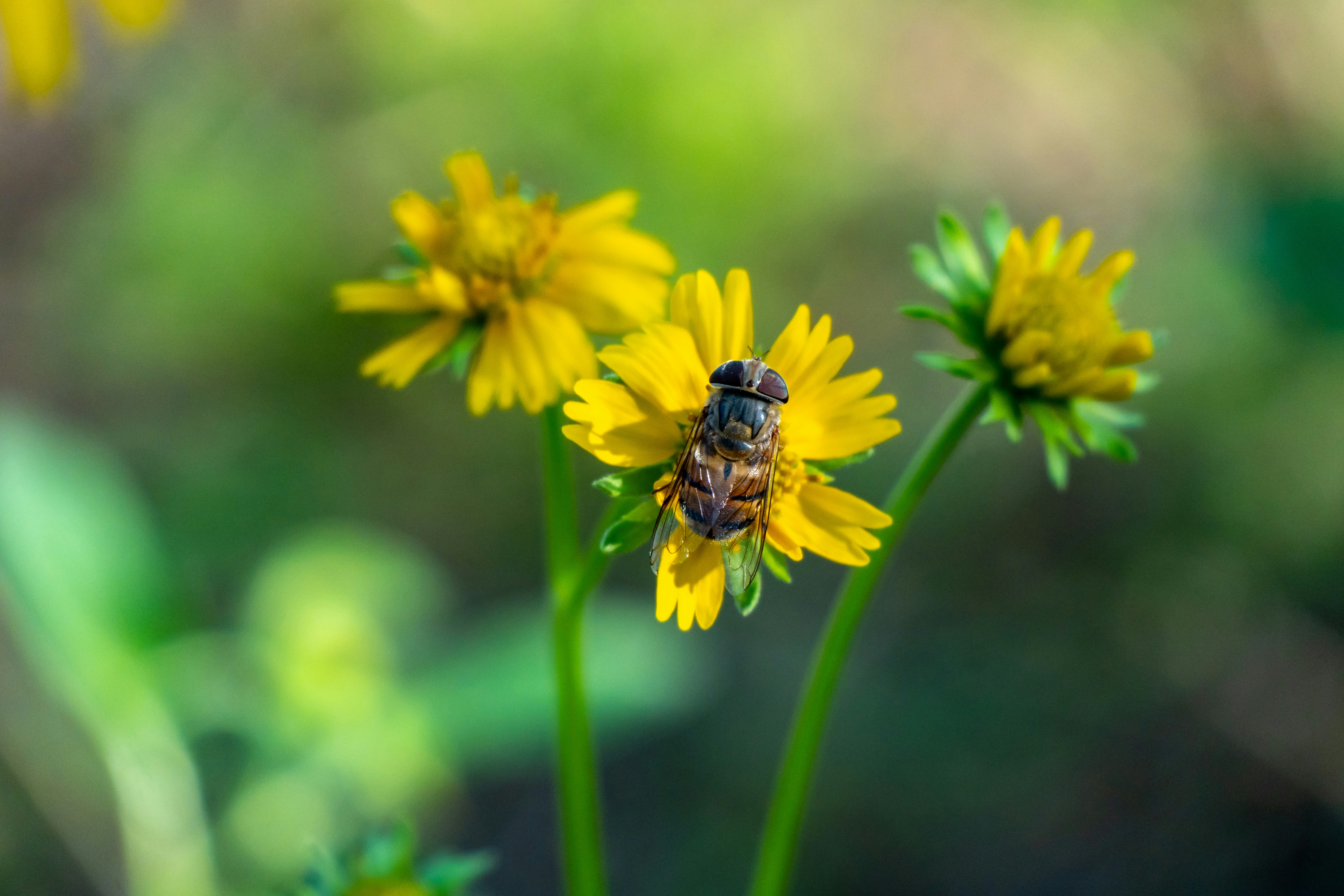 Photo by jcnonstop87