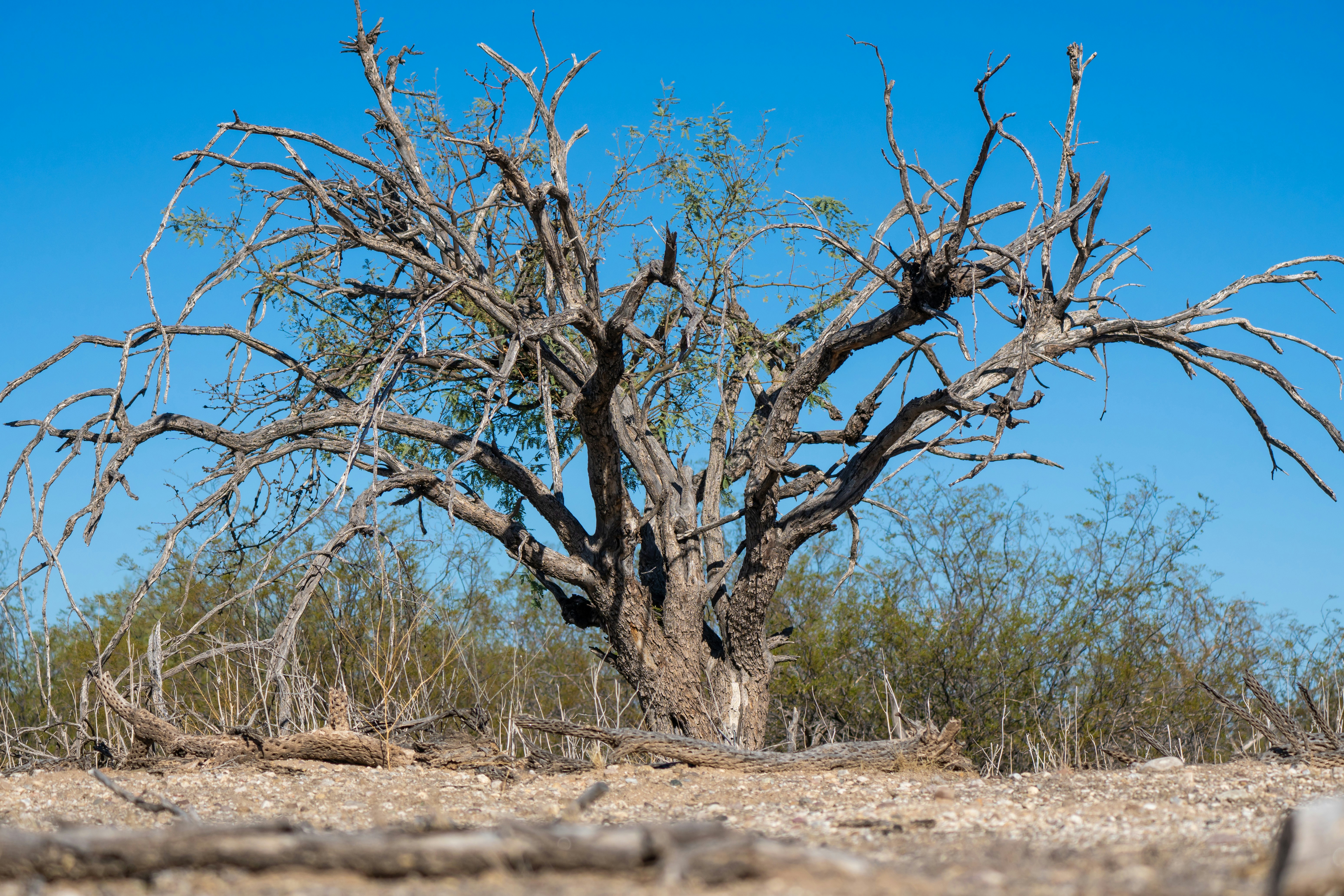 Photo by jcnonstop87