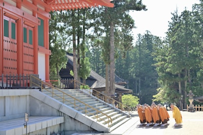 A group of people dressed in yellow and orange robes are standing in a line near the steps of a traditional building with a red and green facade. Tall trees surround the area, creating a serene atmosphere.