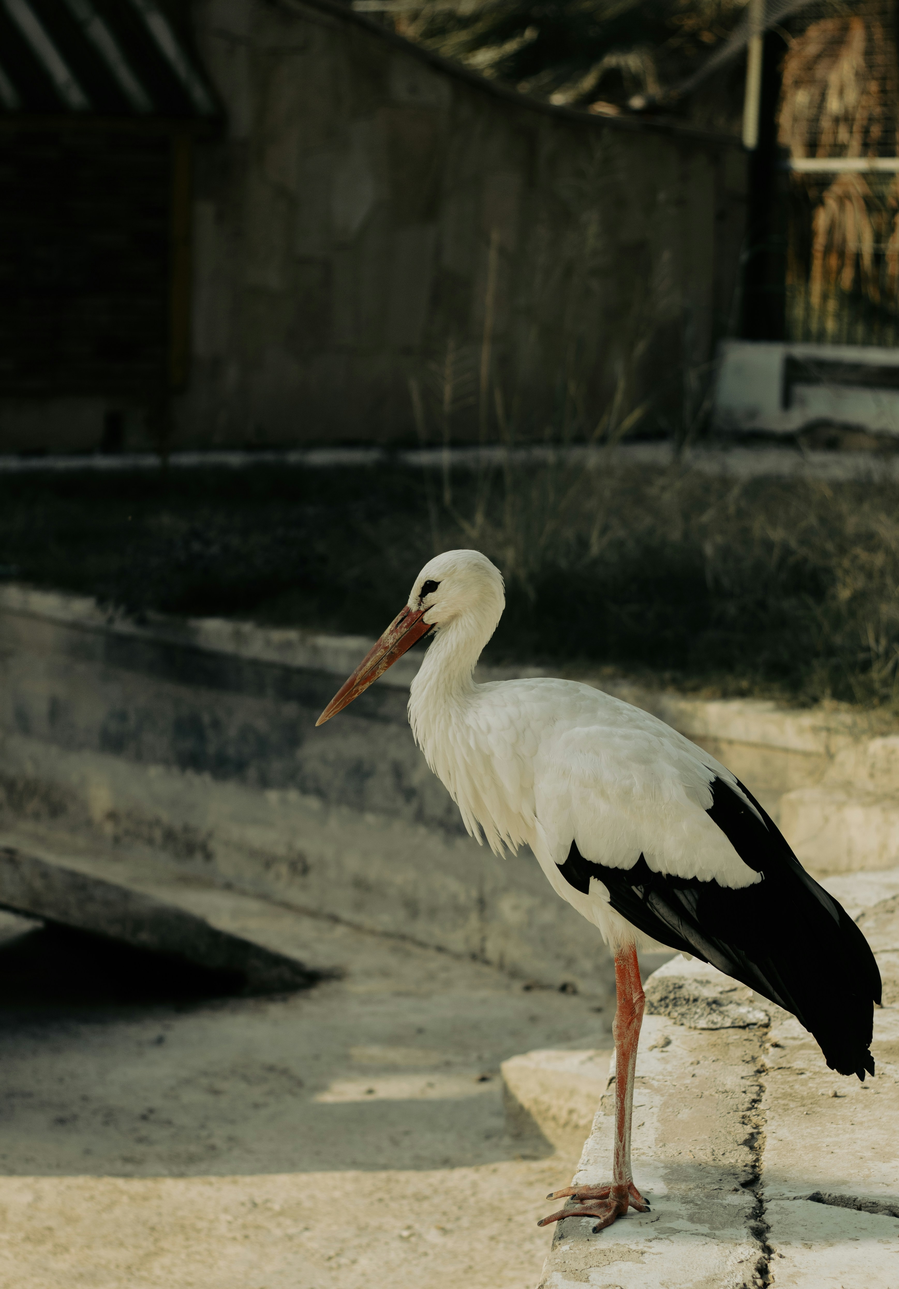 Photo by luciferr_s98