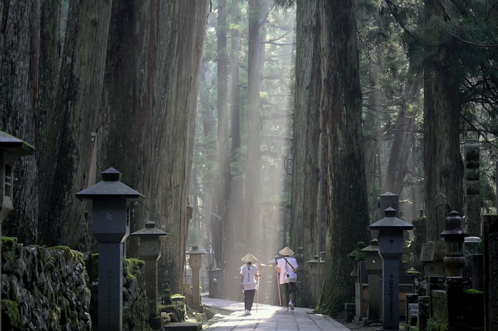 Un grupo de personas caminando por un bosque