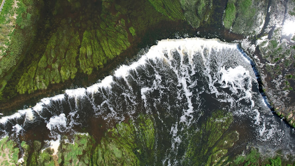 an aerial view of a river running through a lush green forest