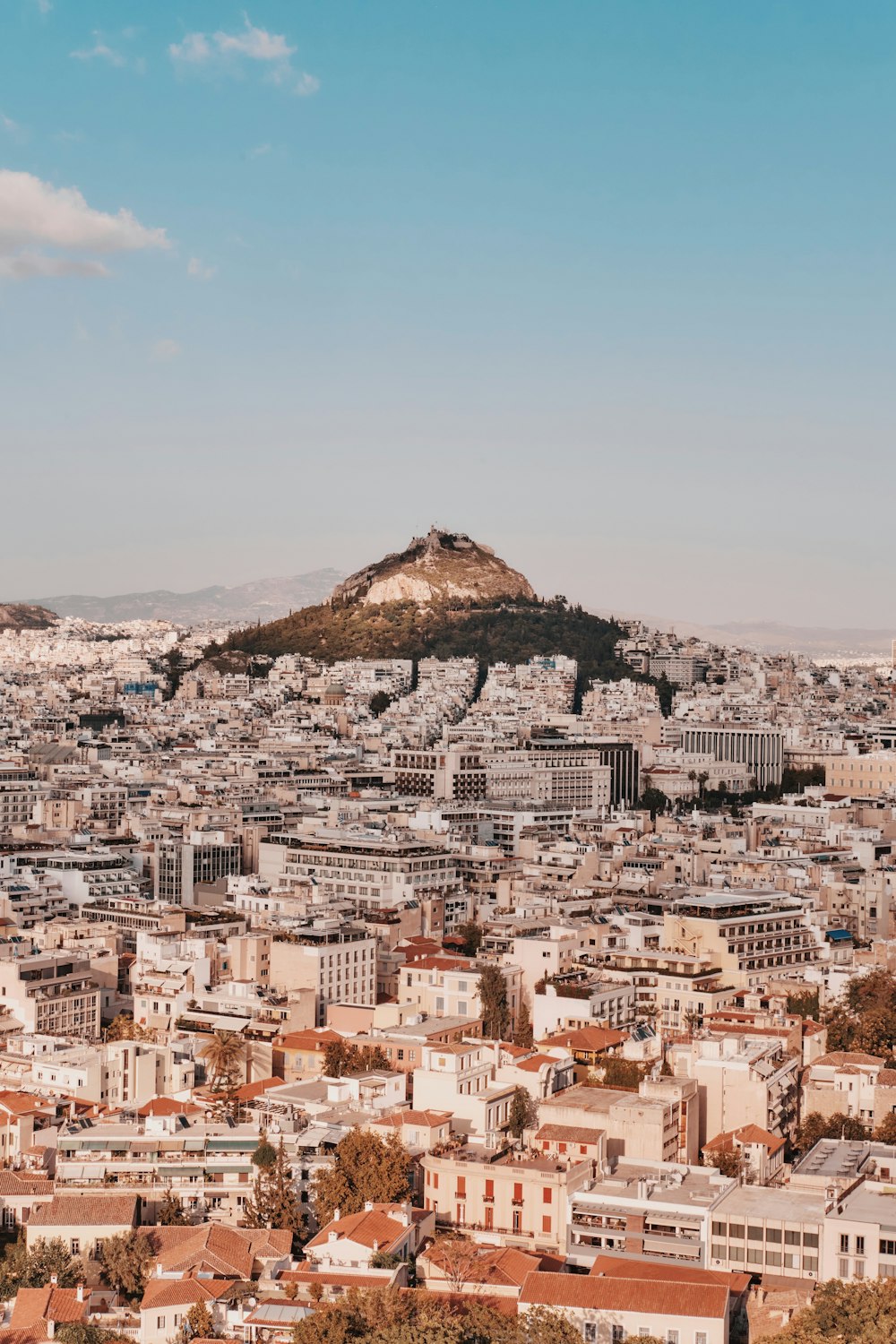 a view of a city with a mountain in the background