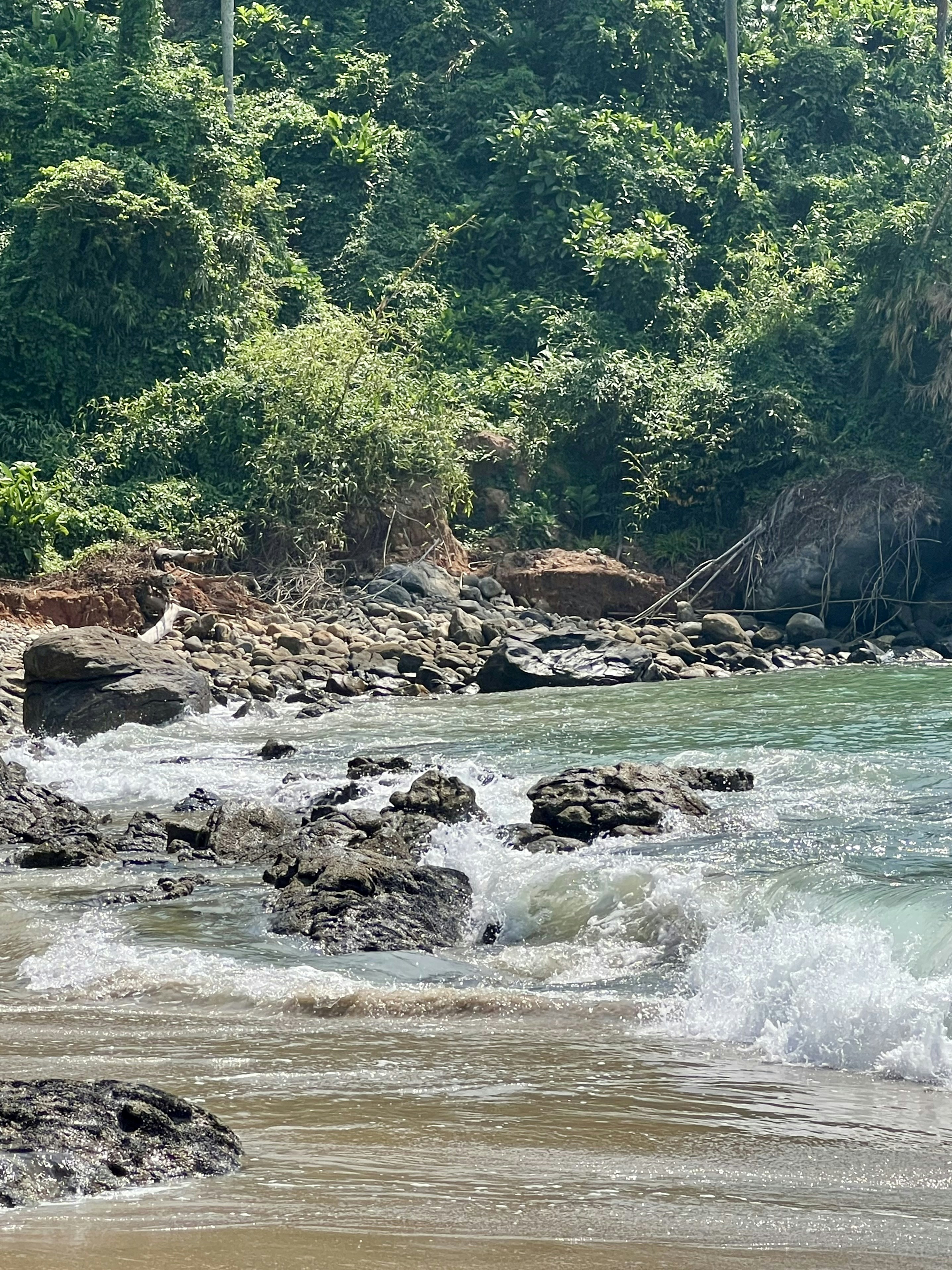 photo-1699919372464-853c8b401954