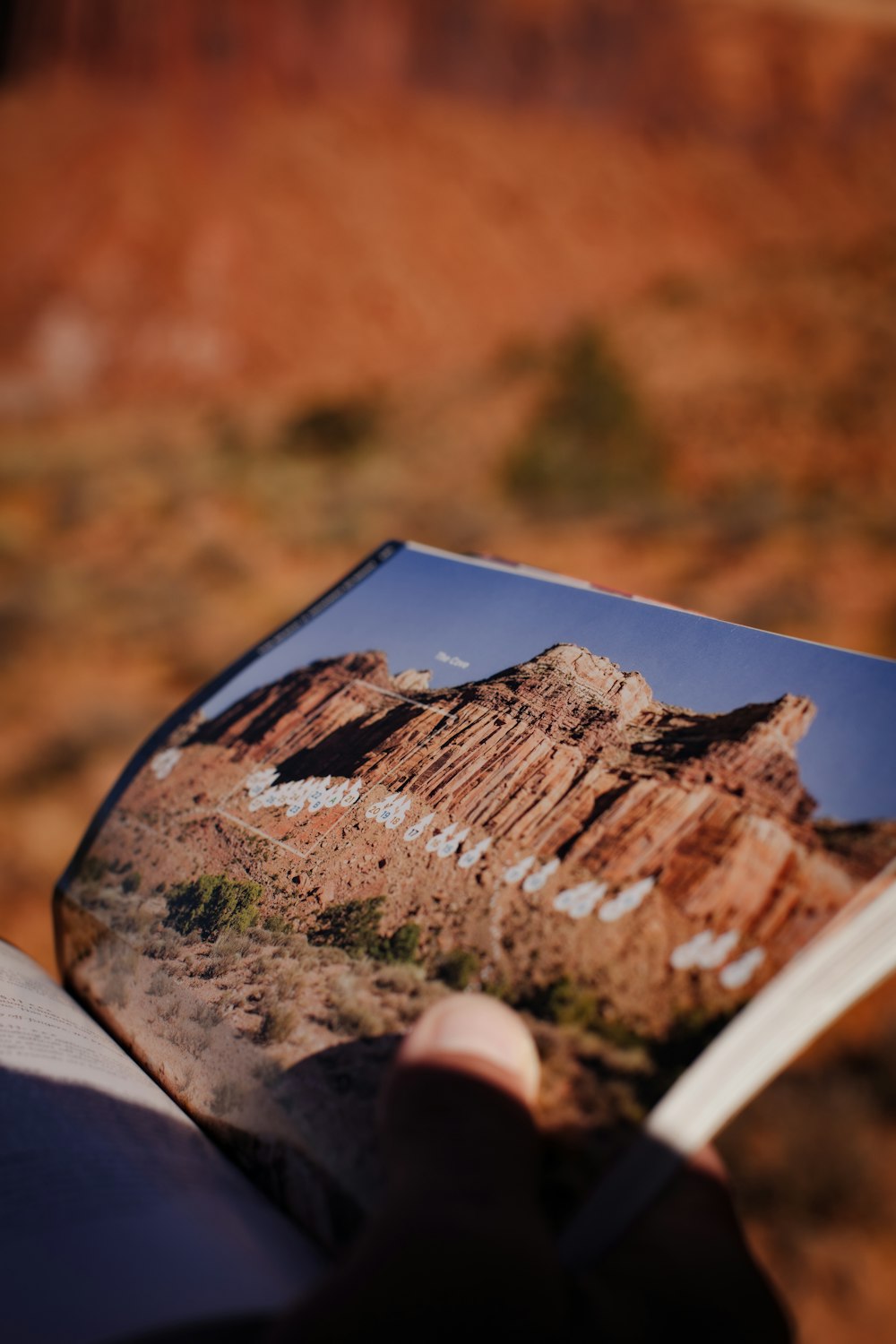 a person holding a book in their hands