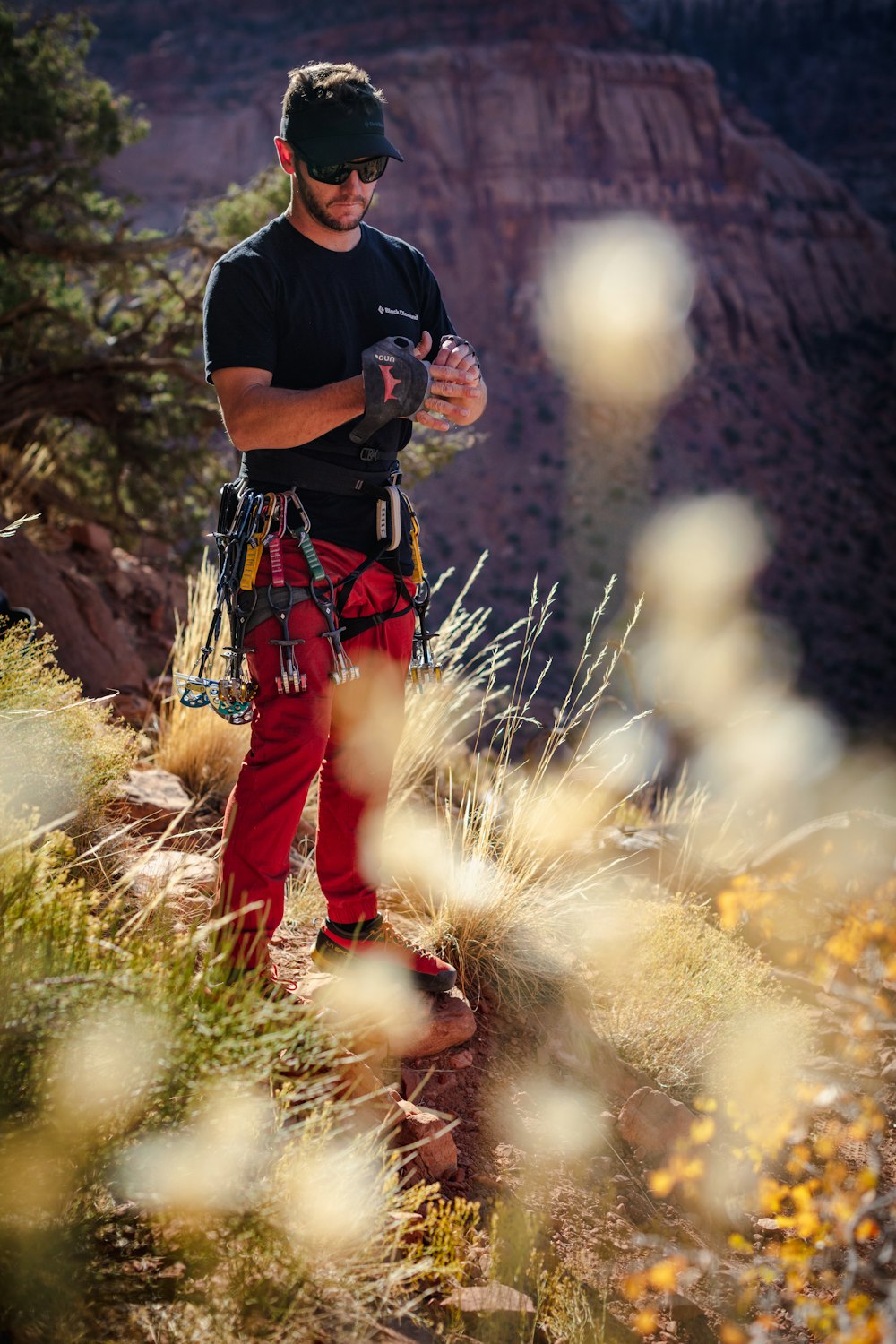 a man standing on top of a mountain next to a forest