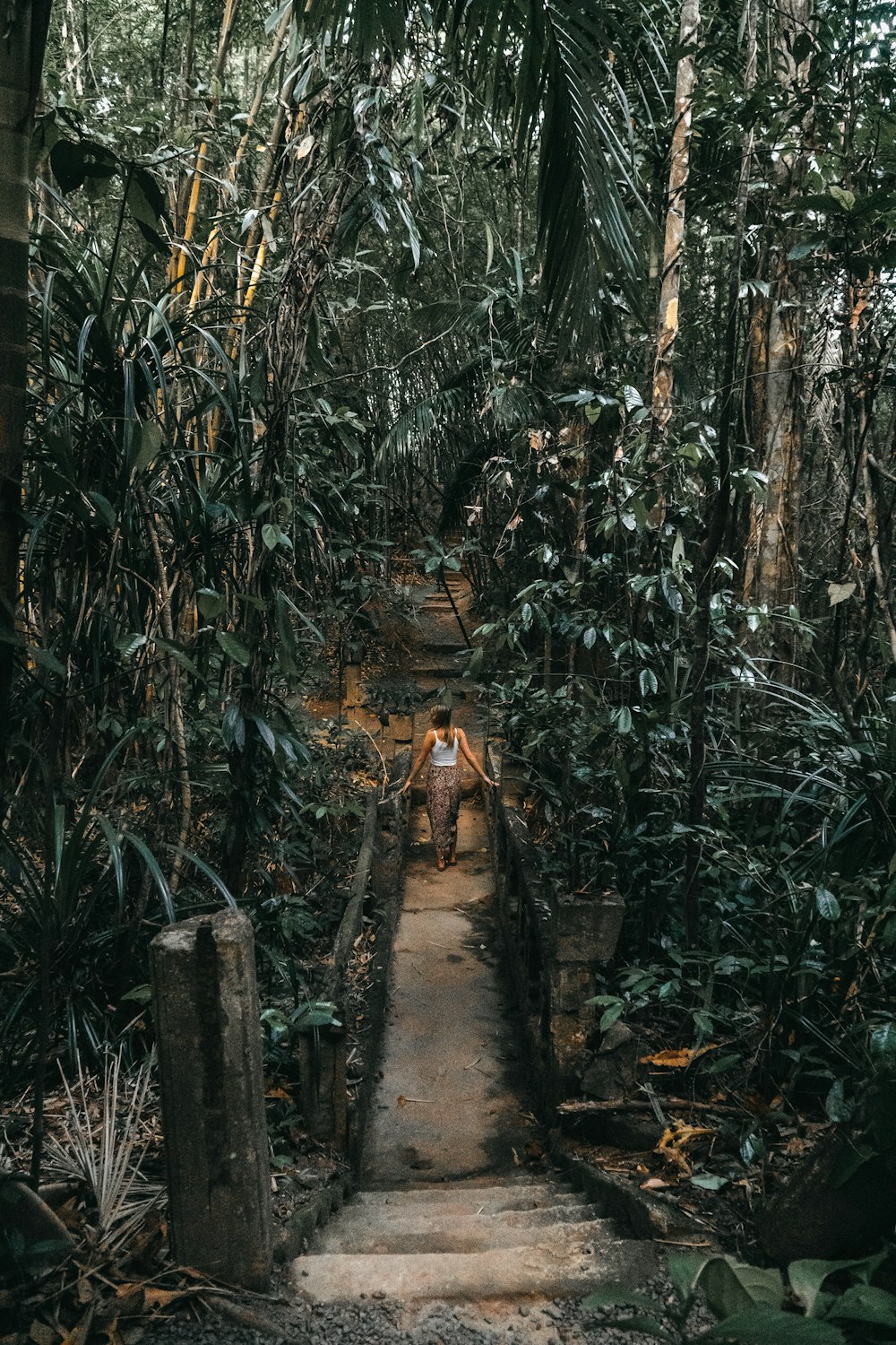 a person standing on a path in the middle of a jungle