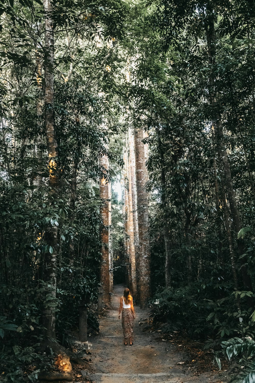 a woman walking down a dirt path in the middle of a forest
