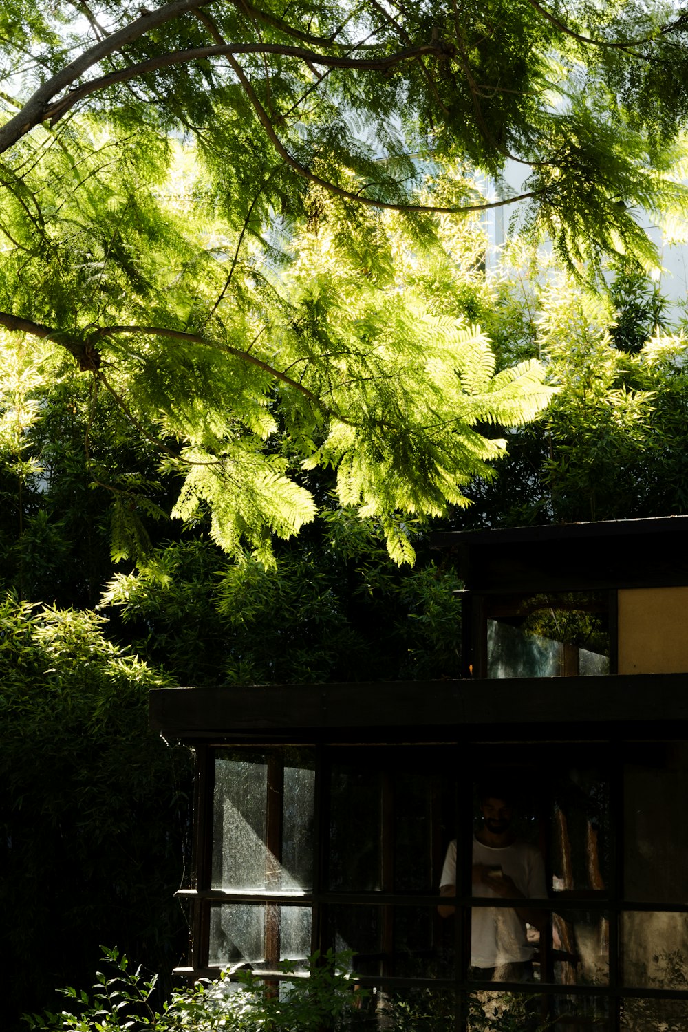 a person standing in the doorway of a house