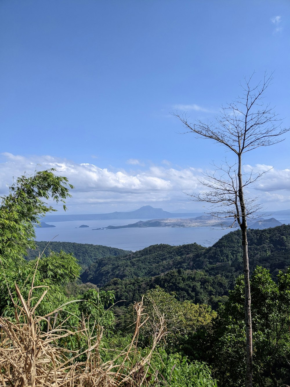 a view of a body of water from a hill