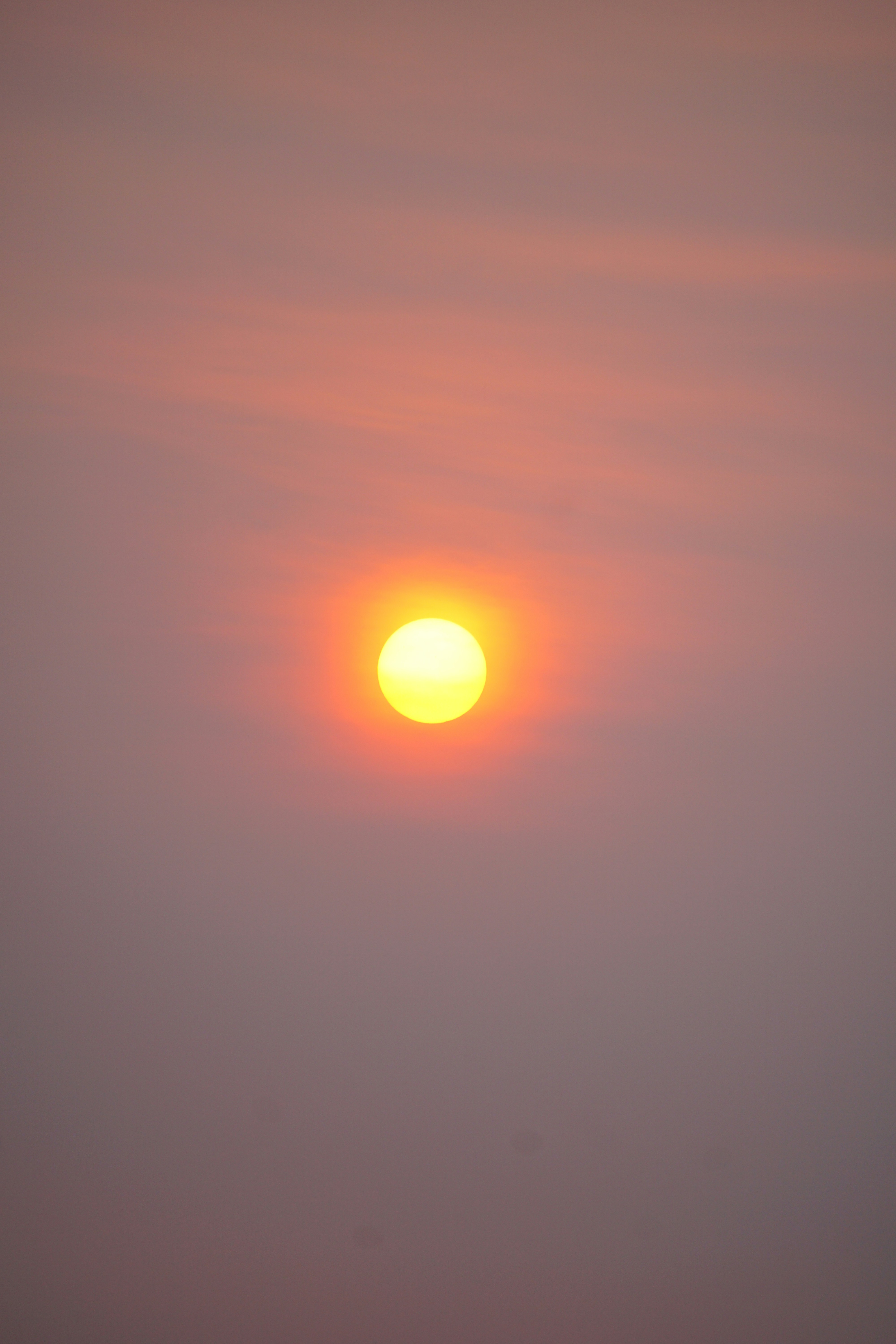 Dawn